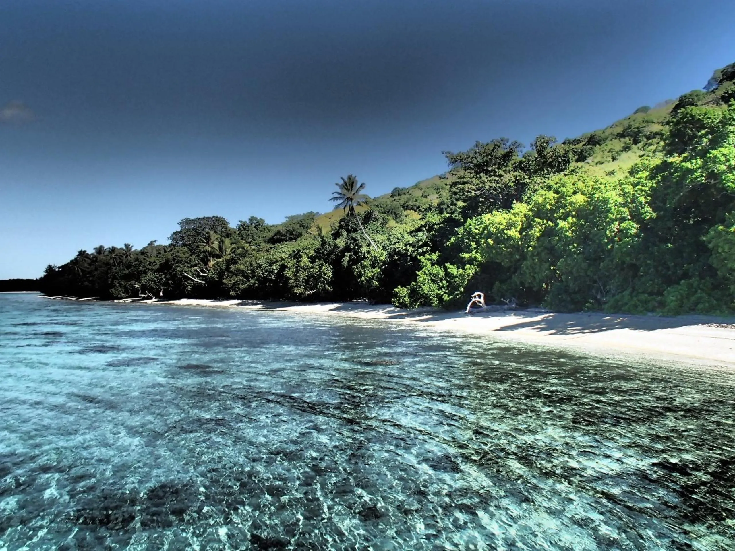 Natural landscape in Tranquility Island Eco Dive Resort