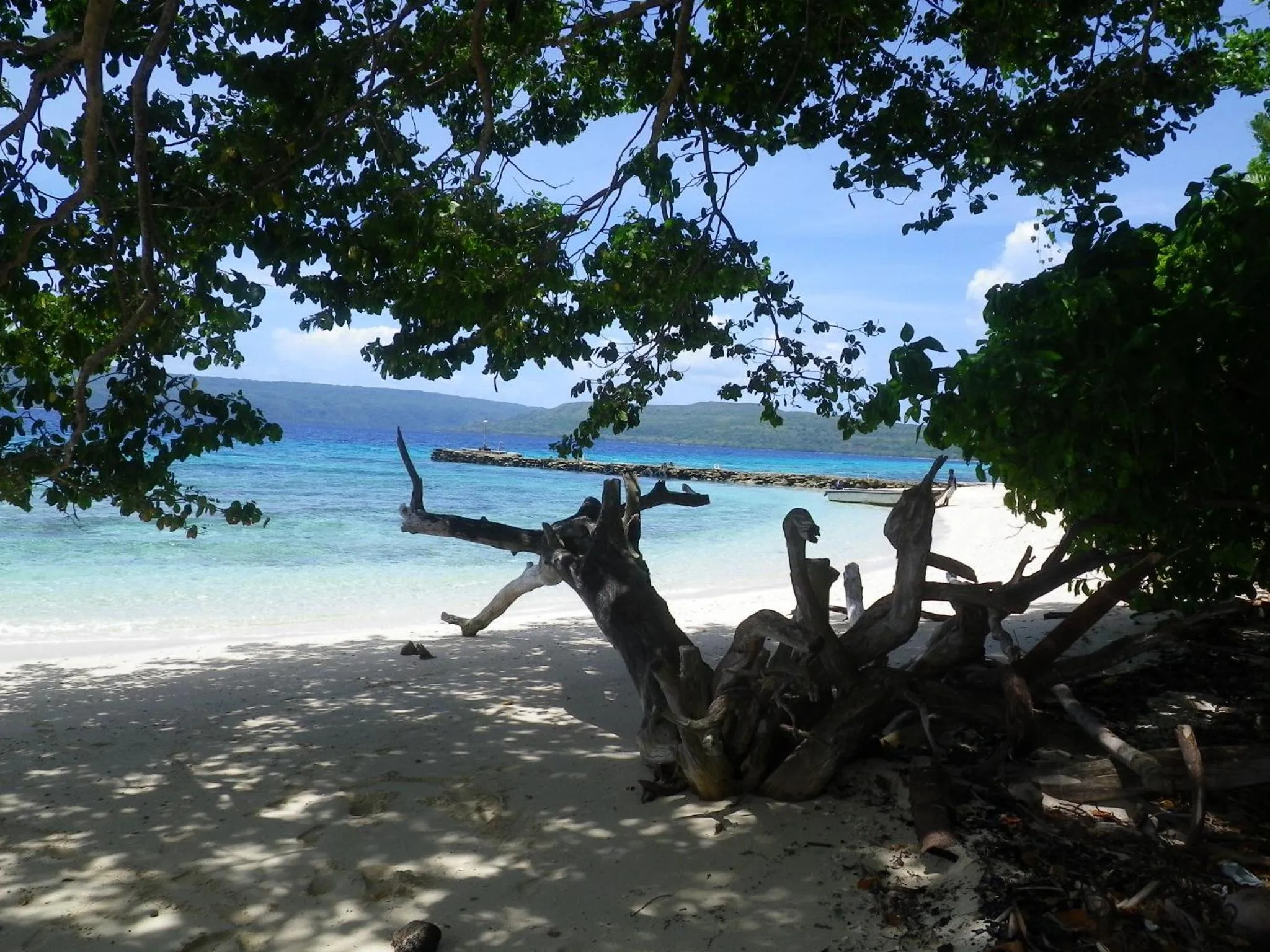 Natural landscape in Tranquility Island Eco Dive Resort