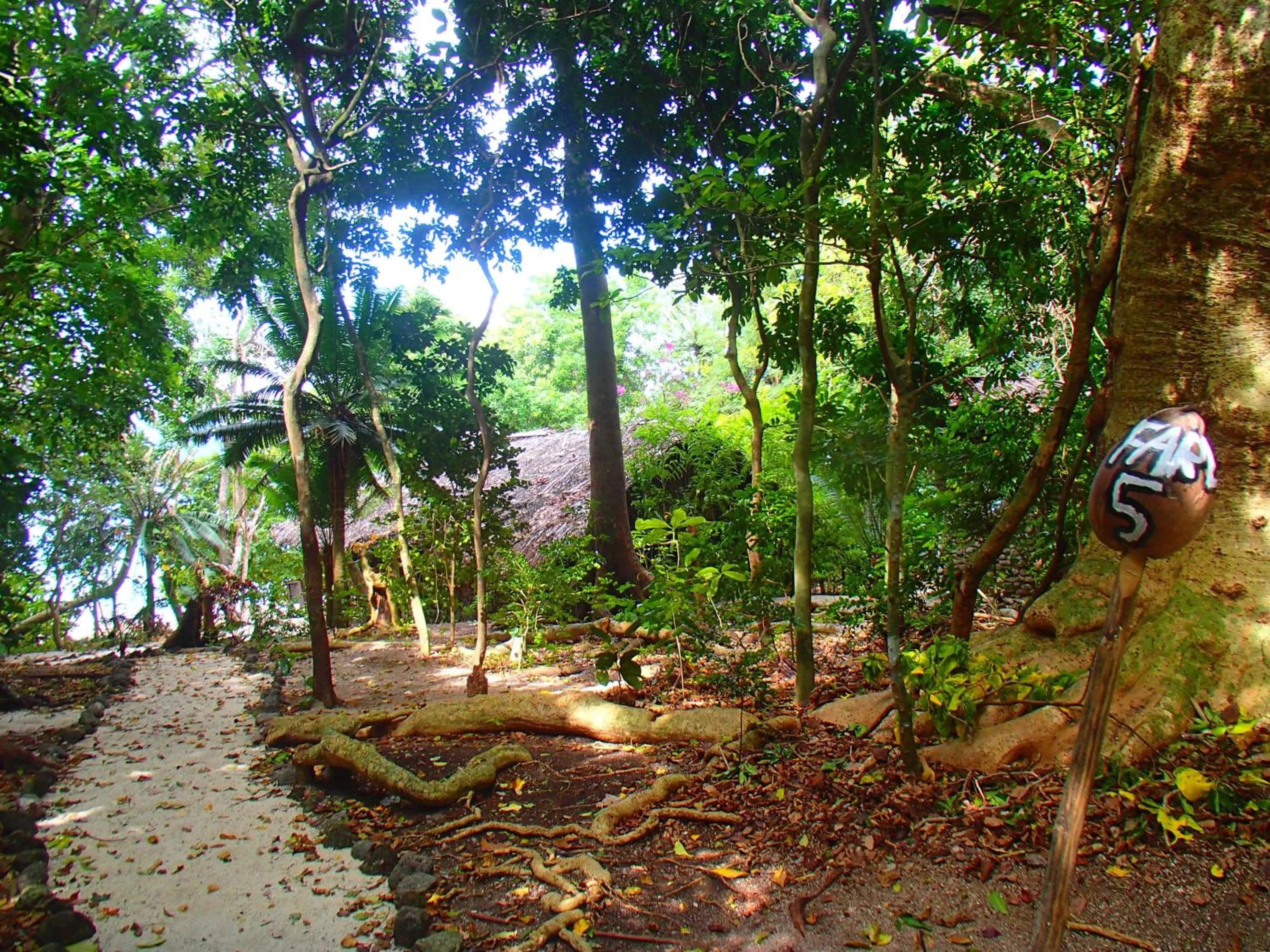 Garden in Tranquility Island Eco Dive Resort