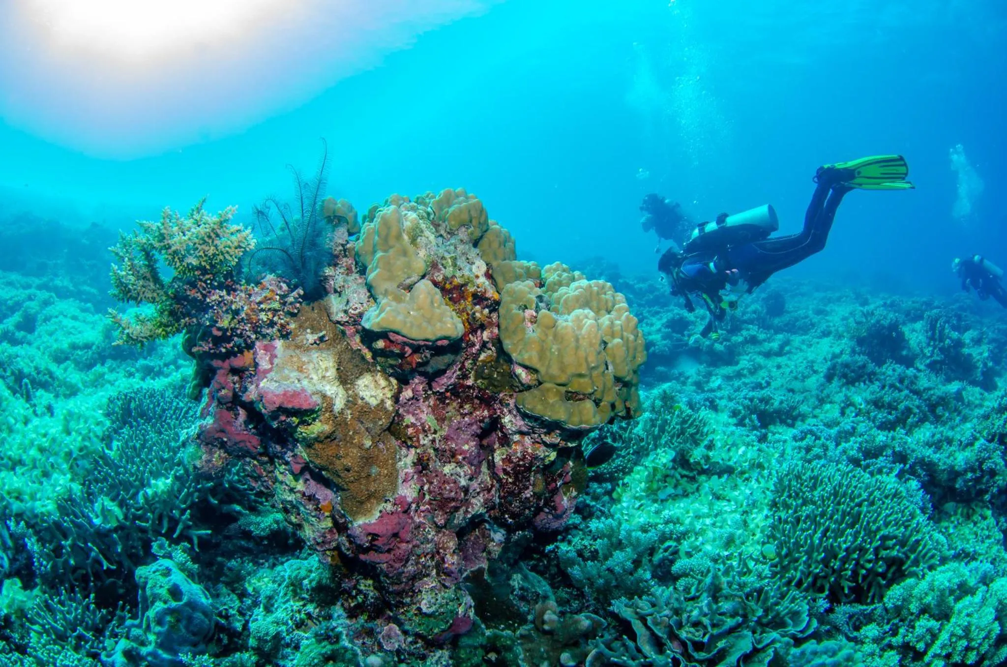 People in Tranquility Island Eco Dive Resort