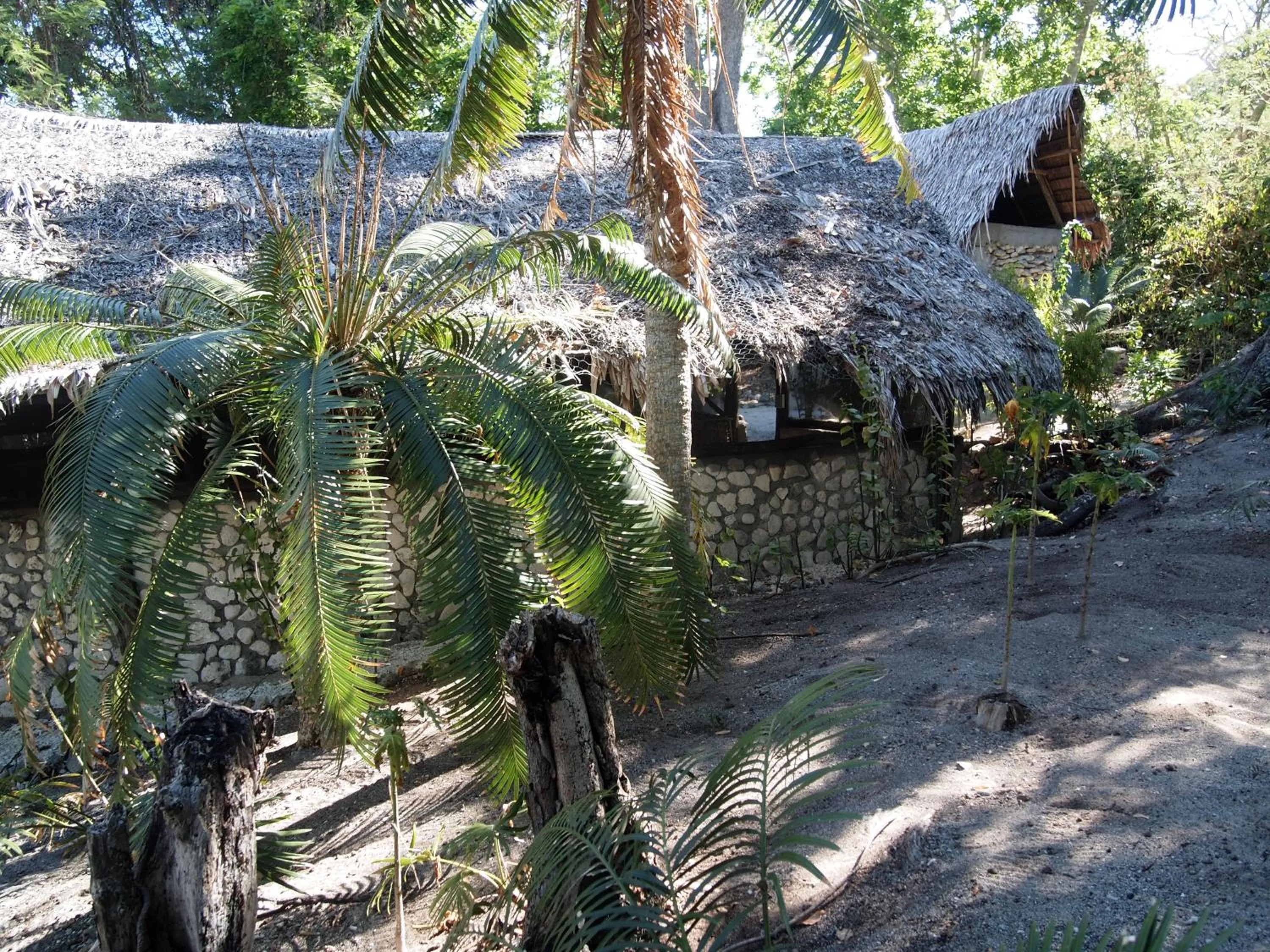 Photo of the whole room in Tranquility Island Eco Dive Resort