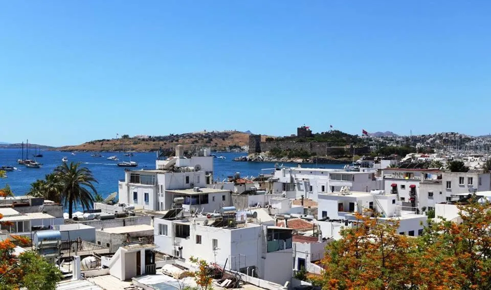 Sea view in Agan Pension