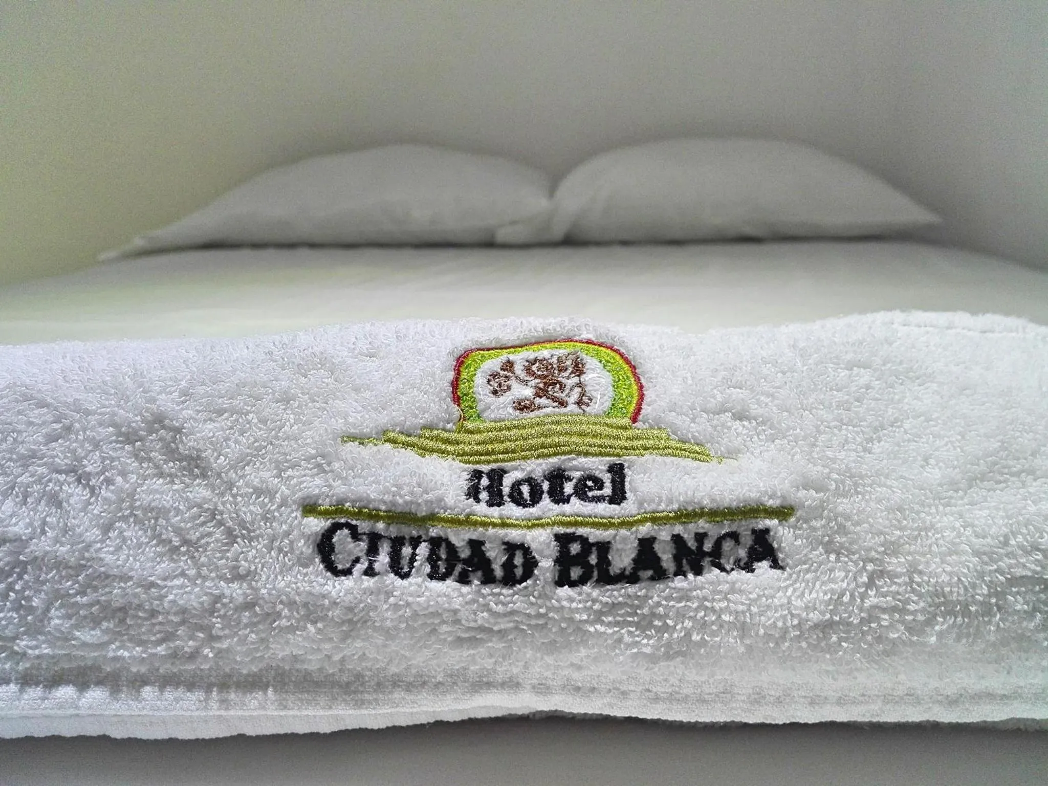 Hotel Ciudad Blanca