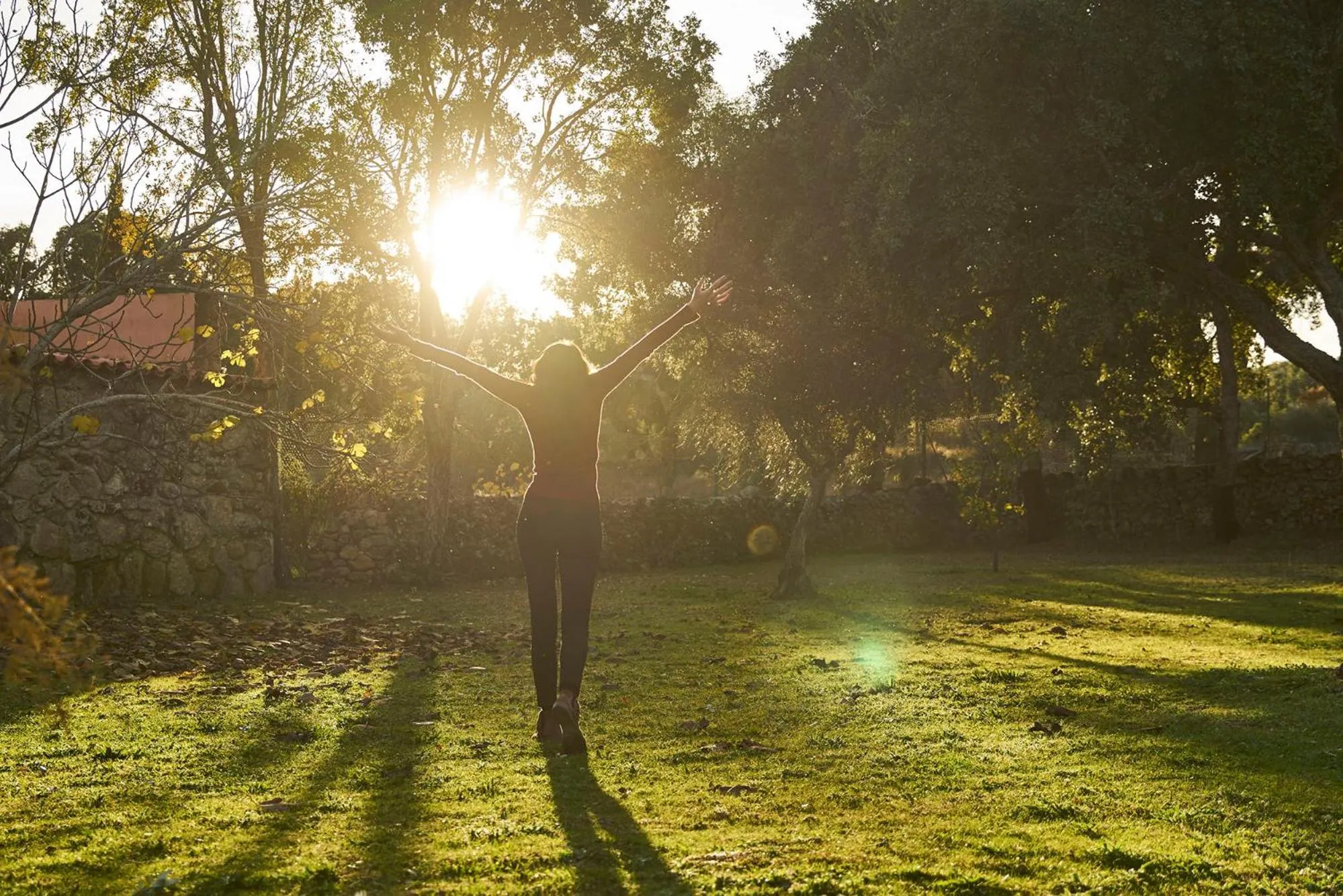 Garden in Finca El Cortiñal