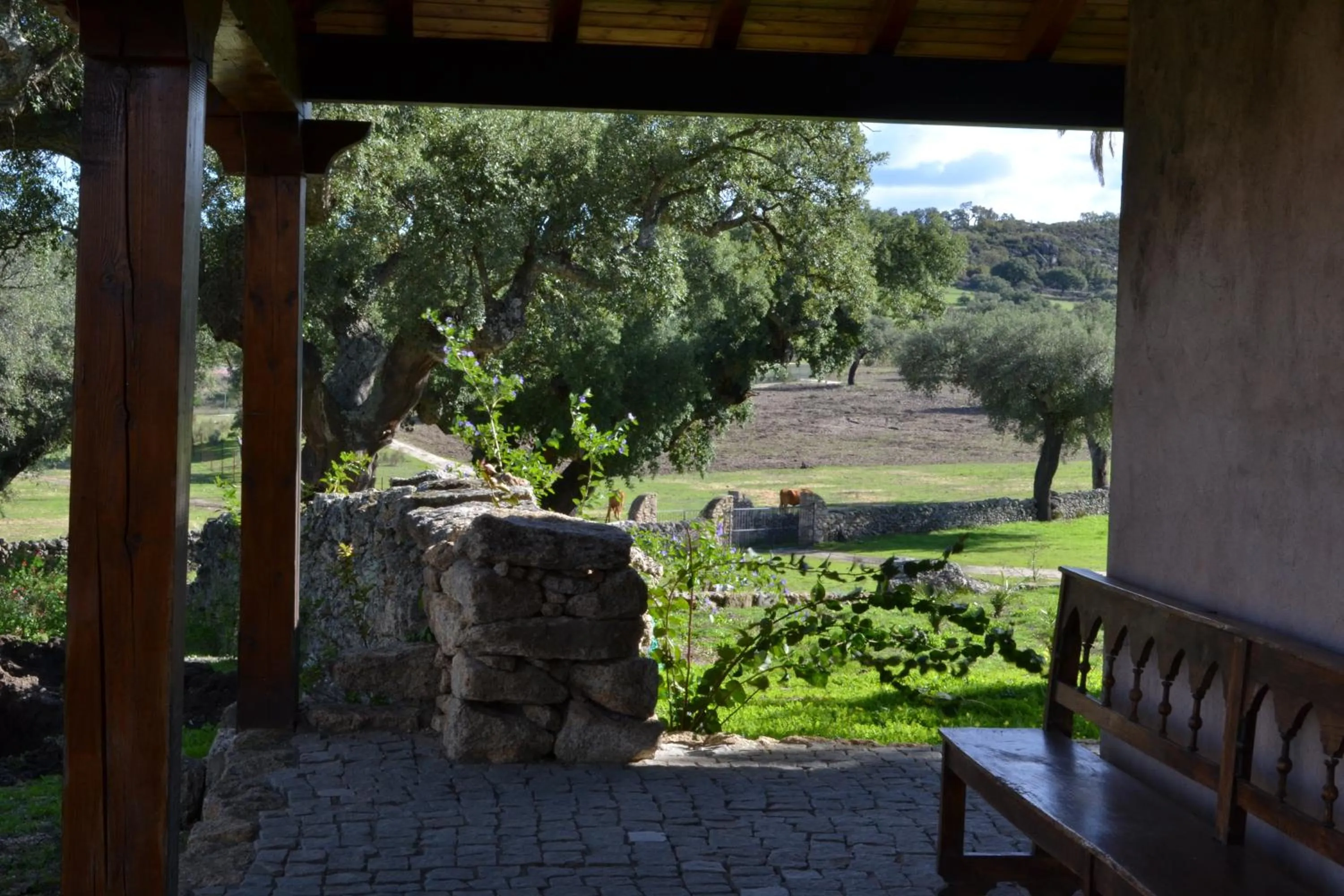 Garden view in Finca El Cortiñal