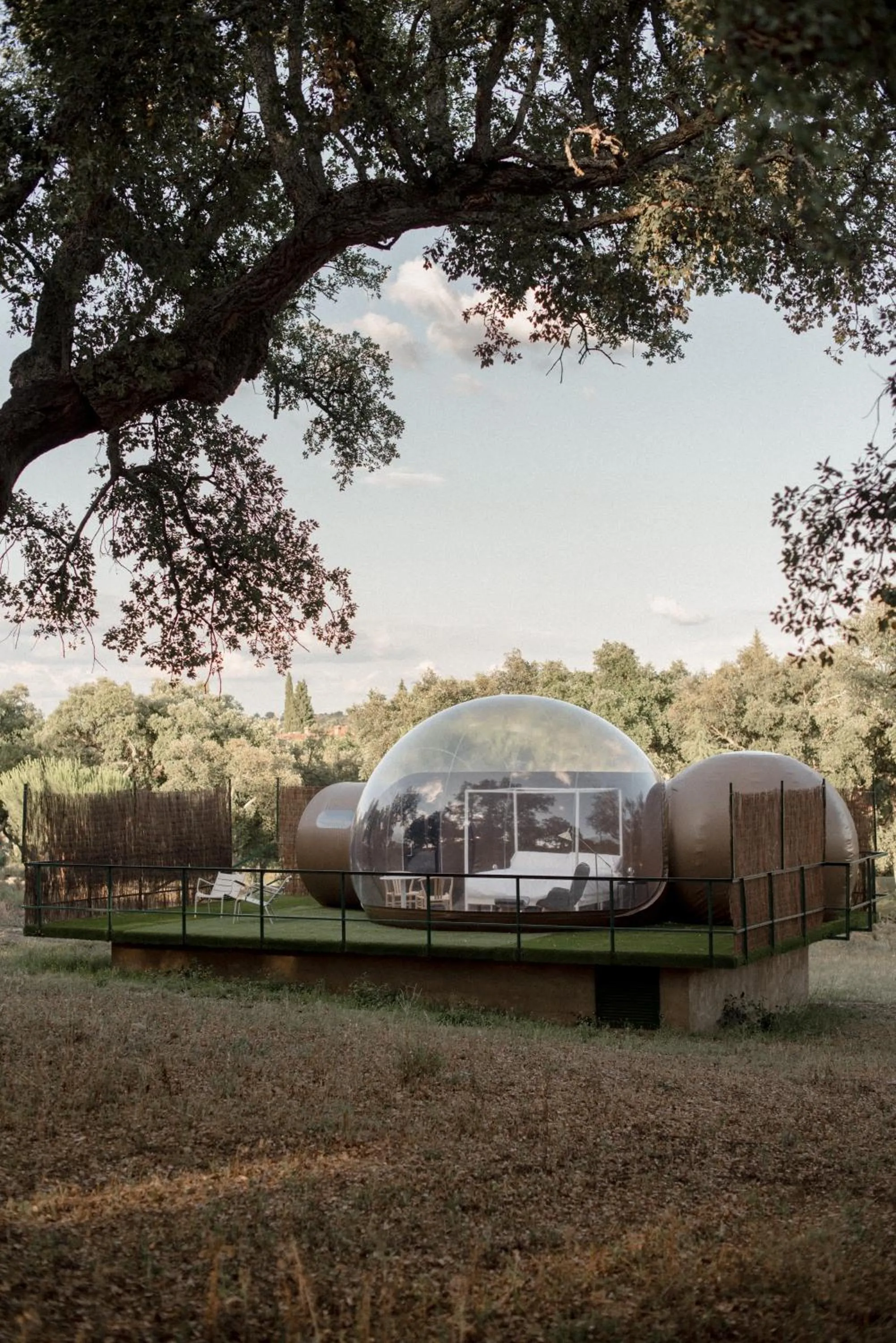 Garden view in Finca El Cortiñal