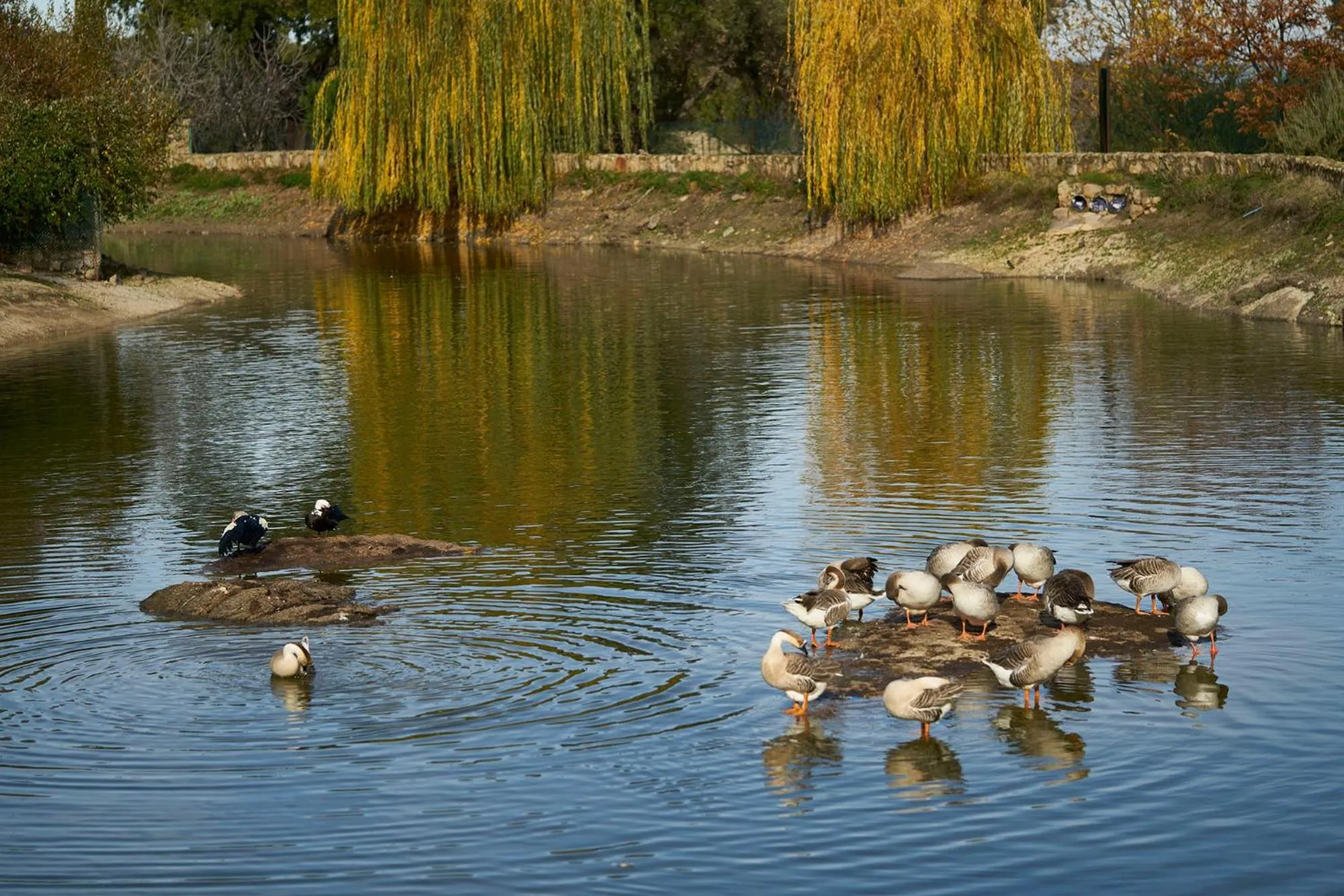 Lake view in Finca El Cortiñal