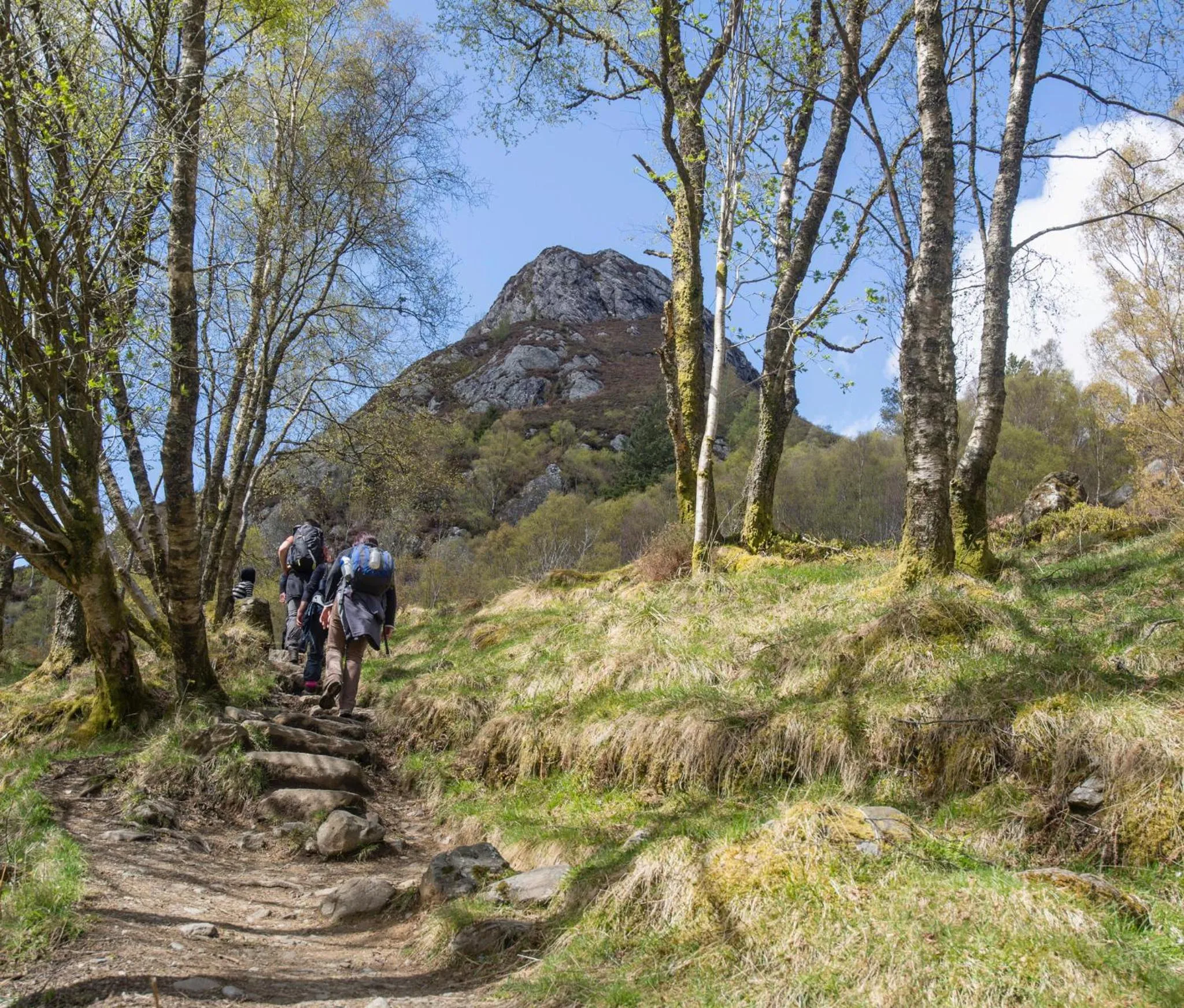 Activities in Lochend Chalets
