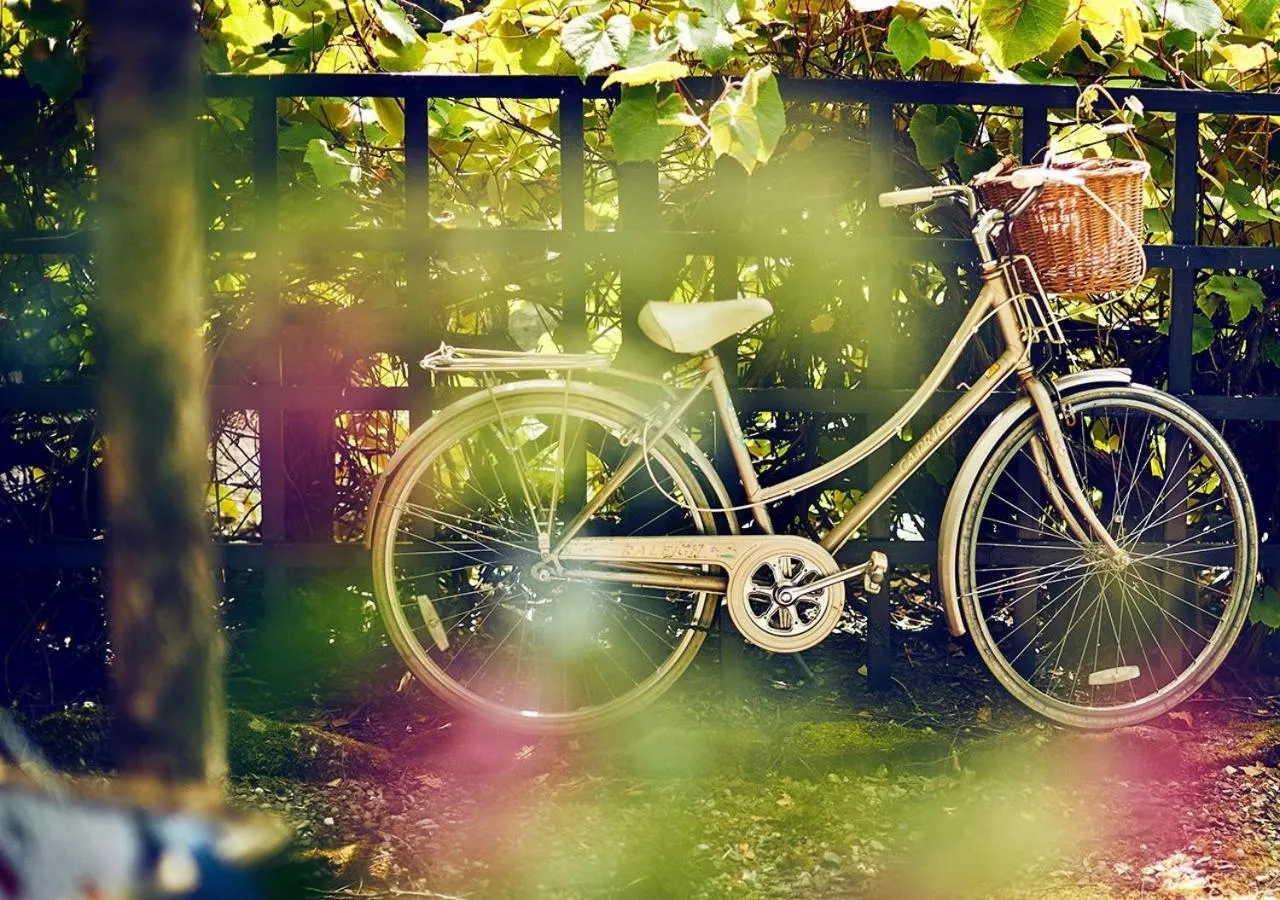 Patio in Lochend Chalets