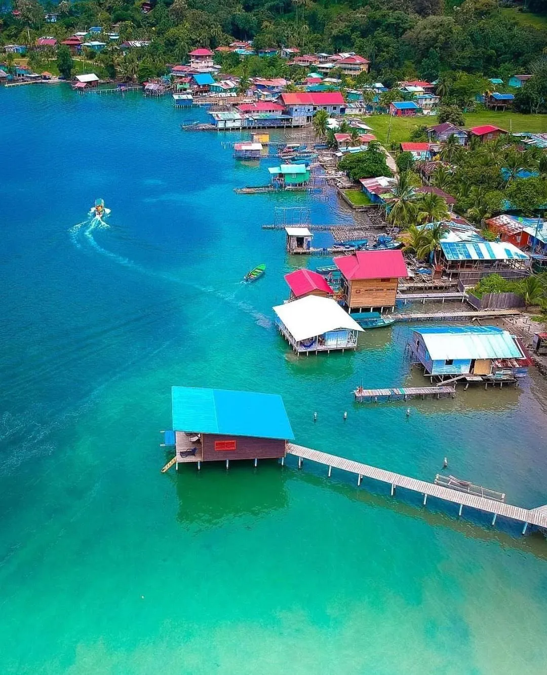 Bird's eye view in The Sea Monkey