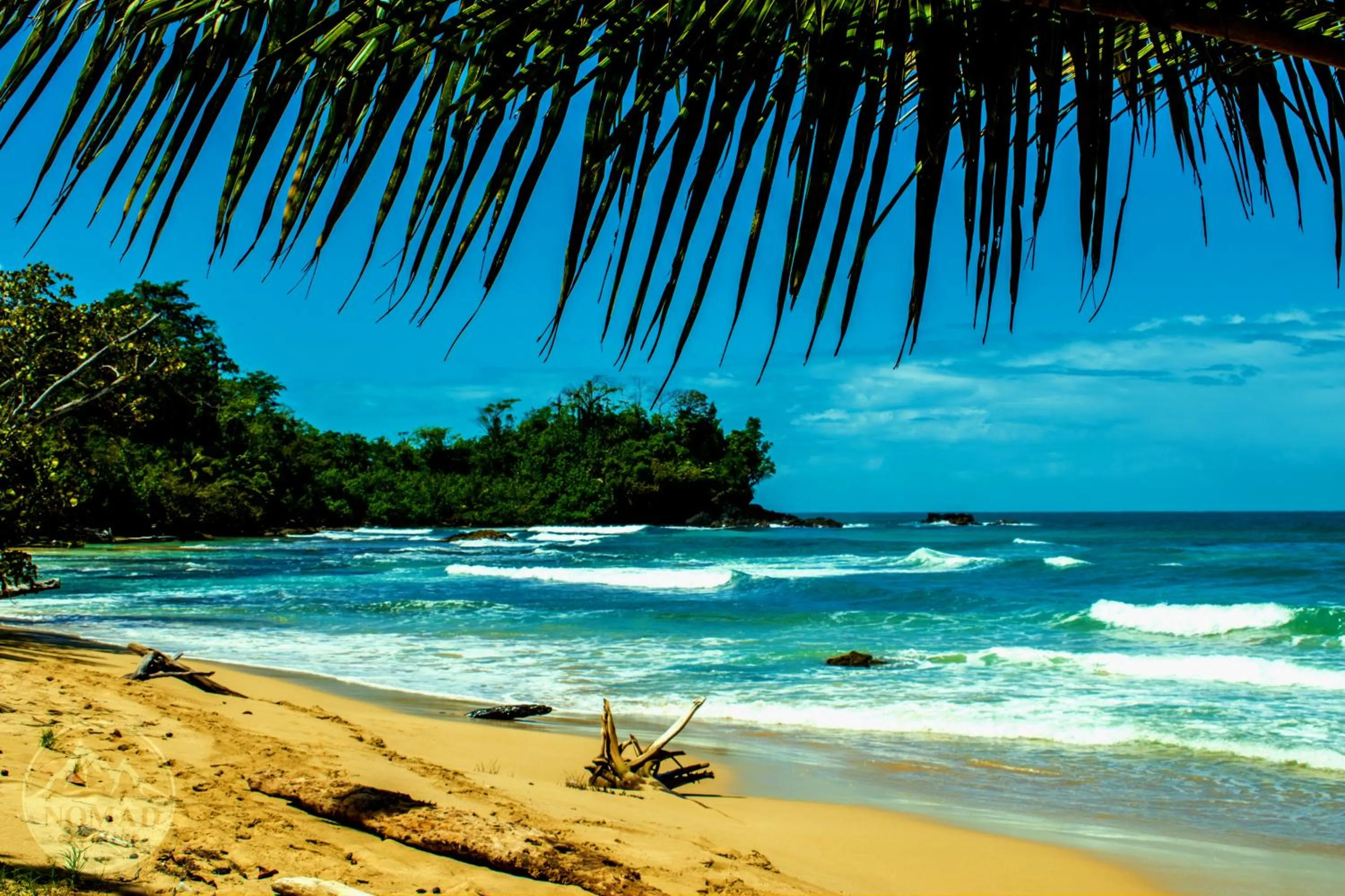 Natural landscape in The Sea Monkey