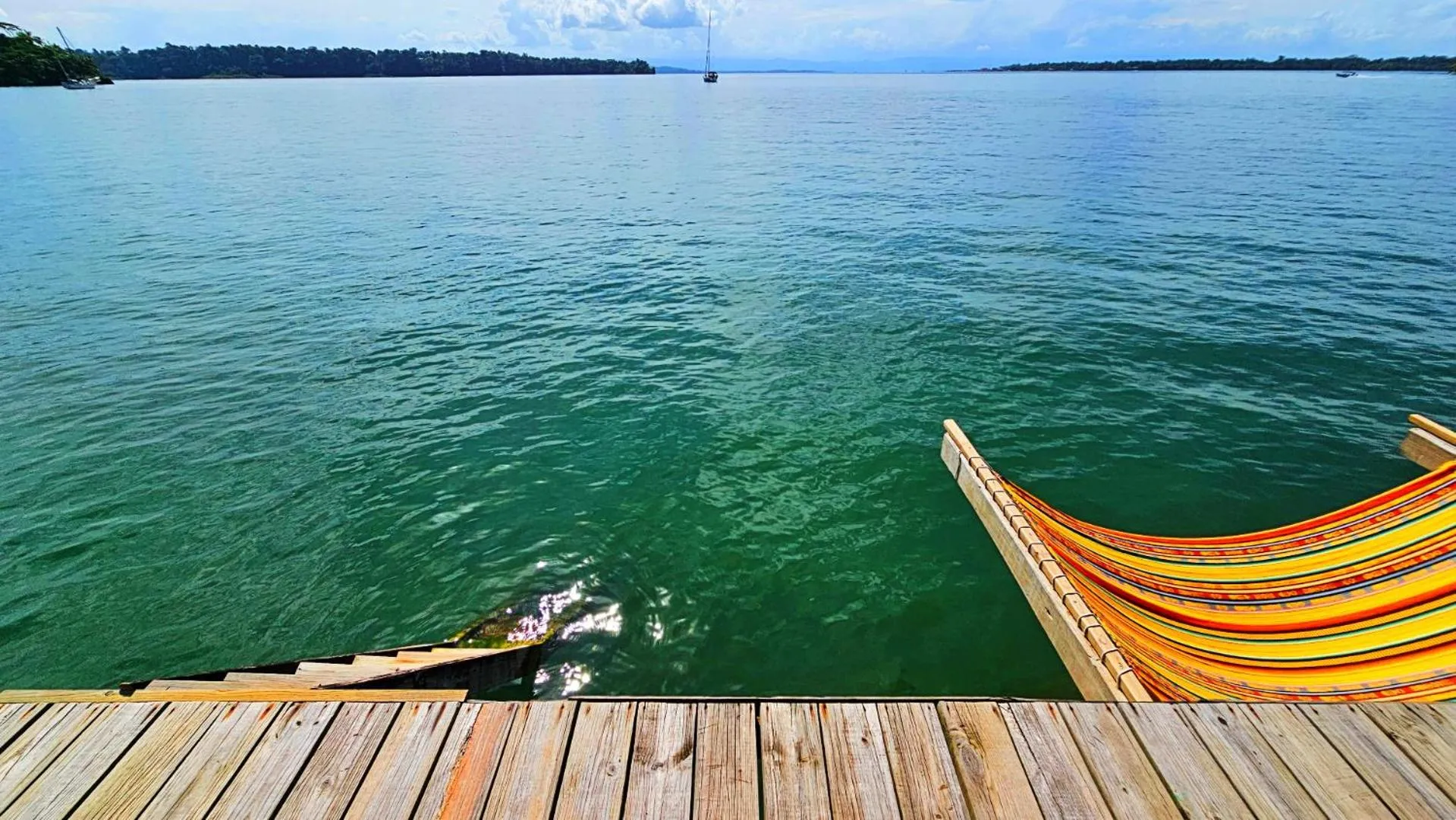 Balcony/Terrace in The Sea Monkey