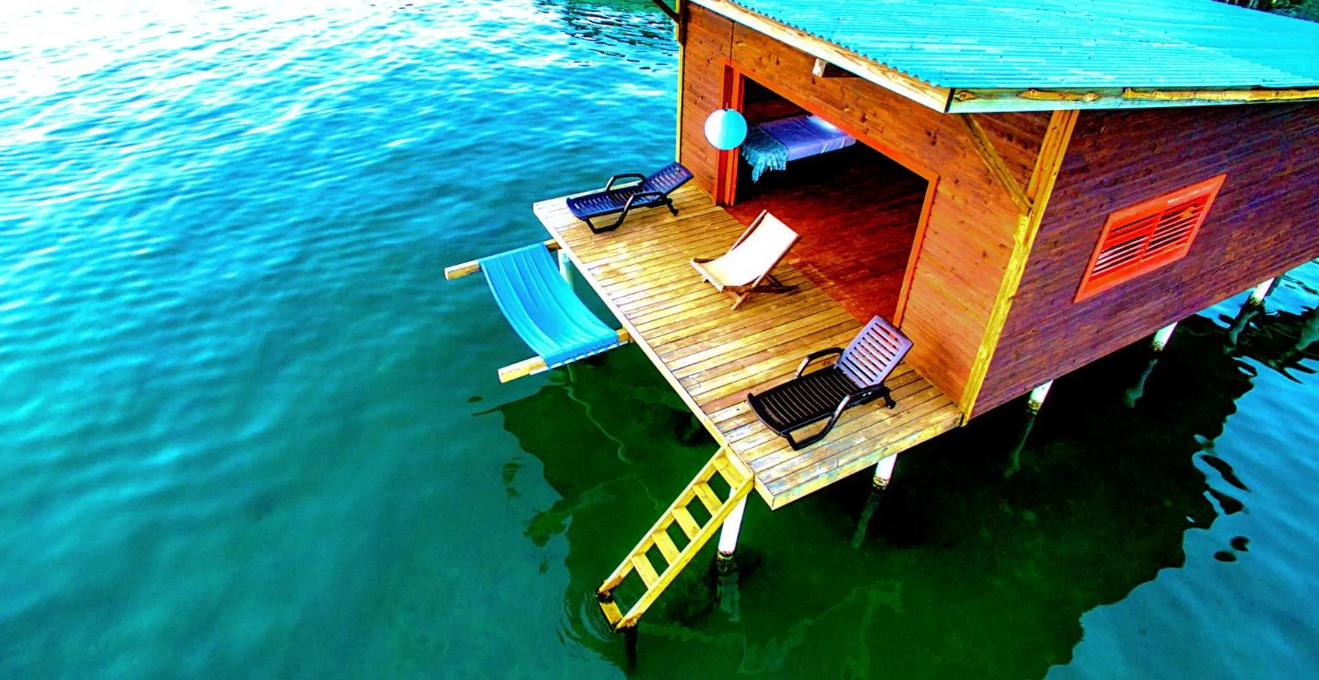 Bird's eye view in The Sea Monkey