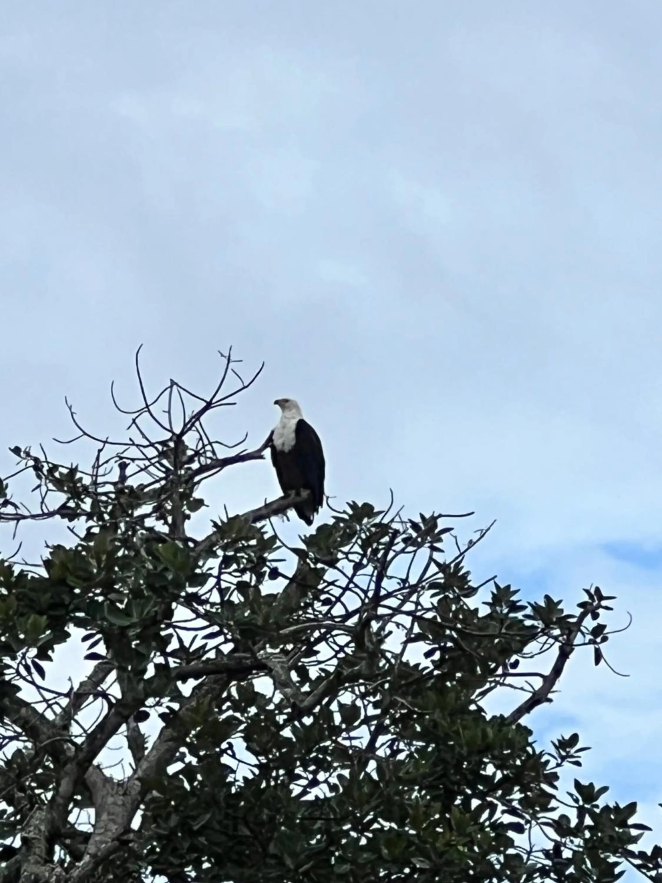 Bird's eye view in Whalesong Guest House