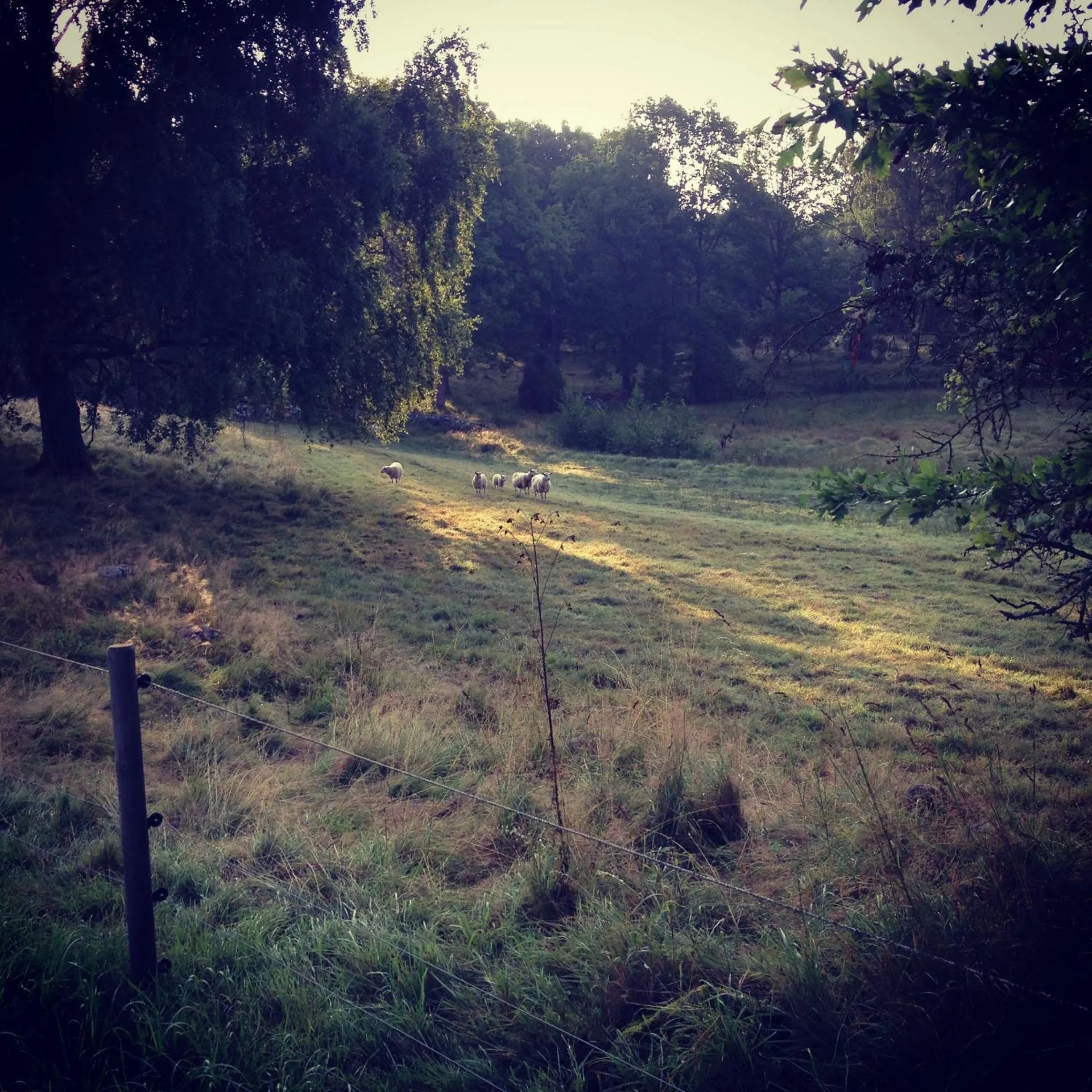 Area and facilities in Två Skyttlar