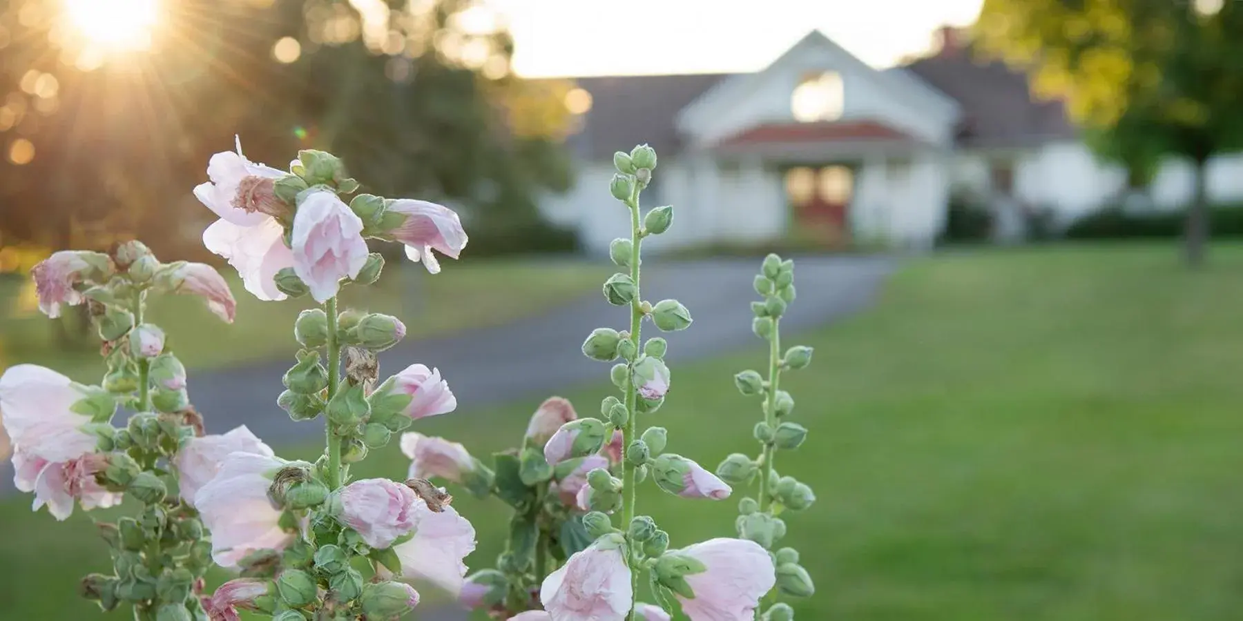 Single Room in Två Skyttlar Single Room in Två Skyttlar