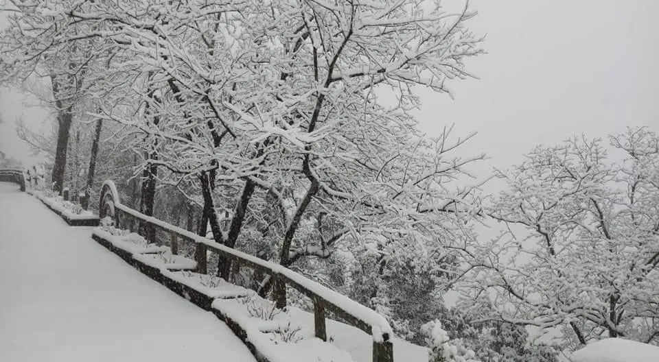 Winter in Hotel Devlok Primal