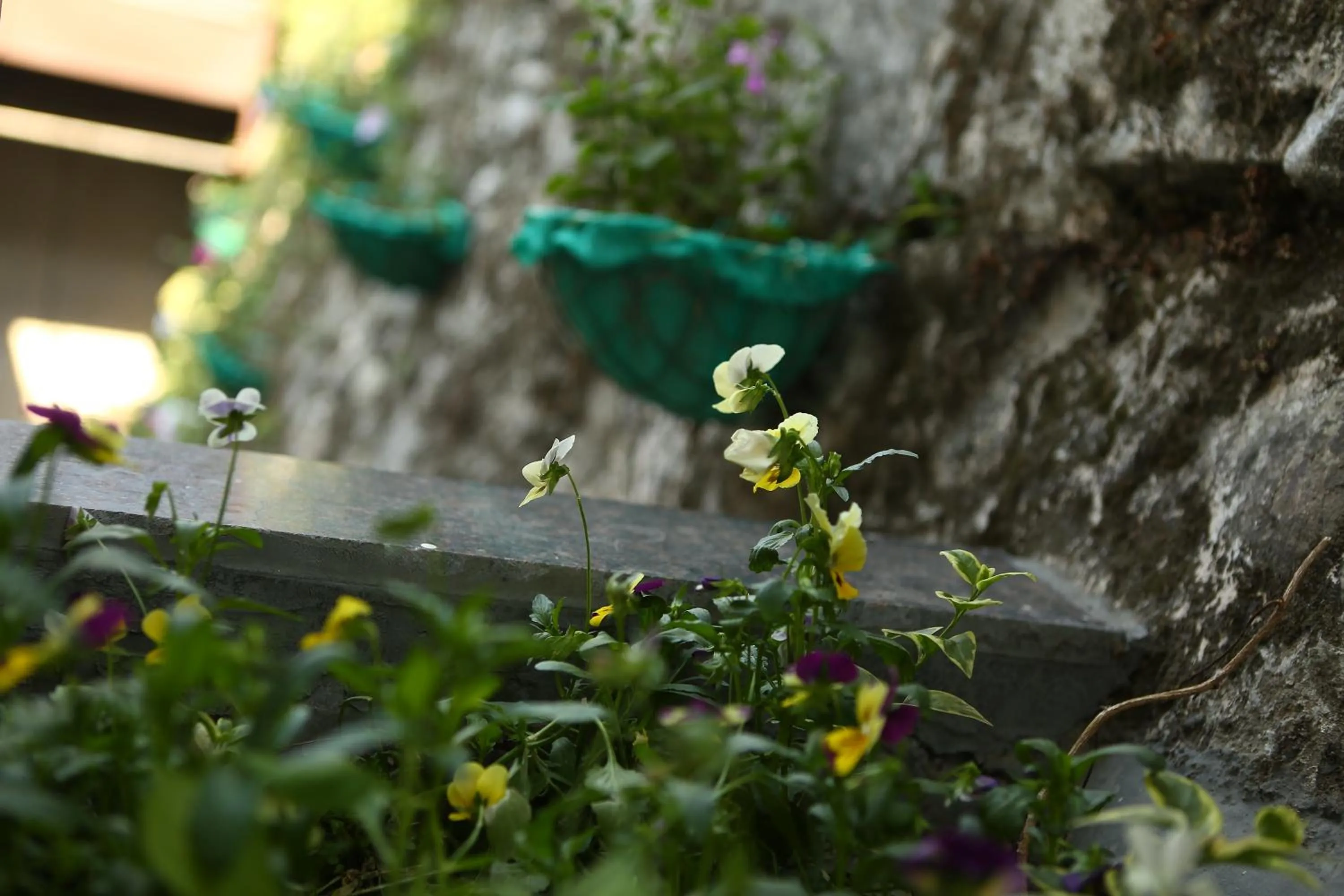 Property building in Hotel Devlok Primal