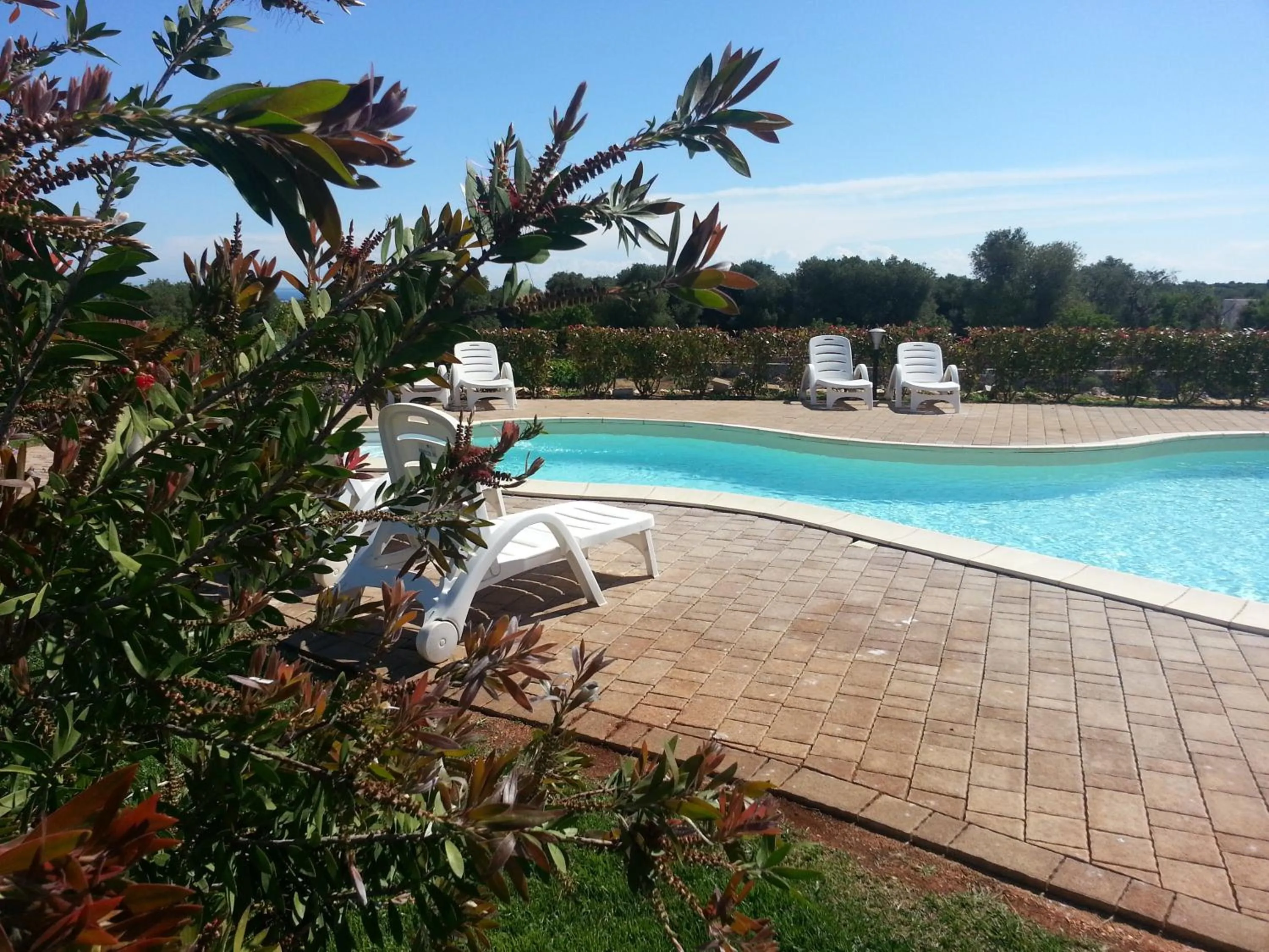 Swimming pool in B&B La Vigna