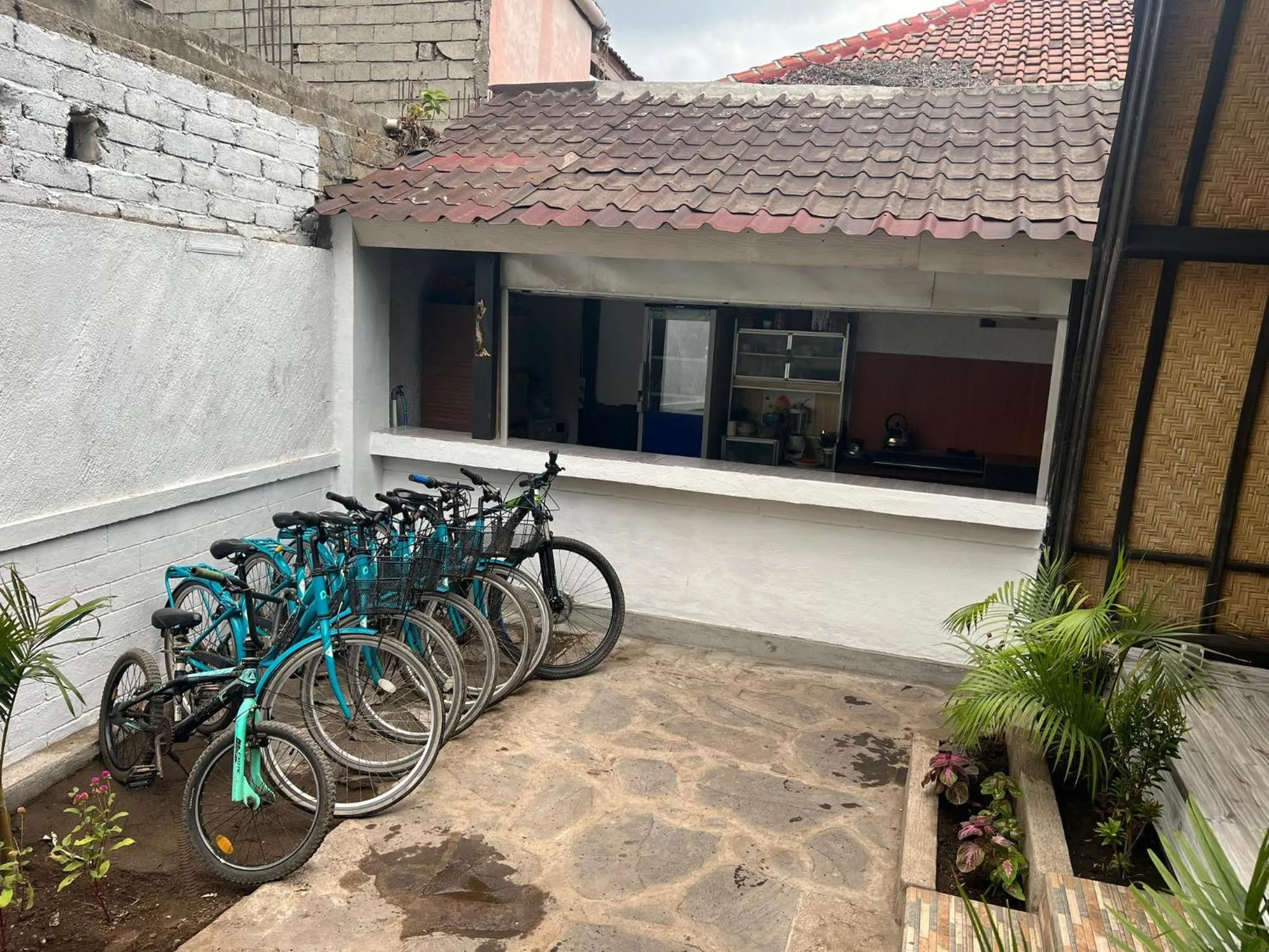 Cycling in Gili Davidoff Bungalow