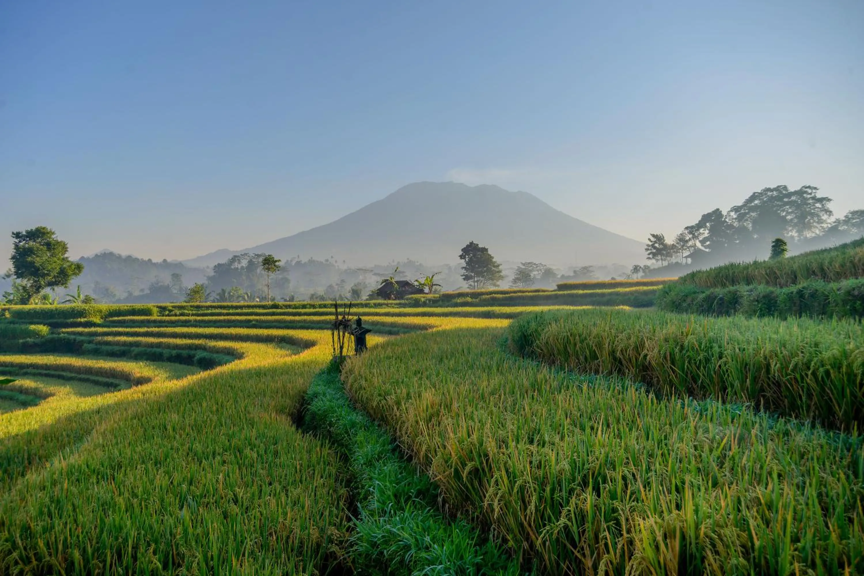 Natural landscape in Gladak di Uma Bali