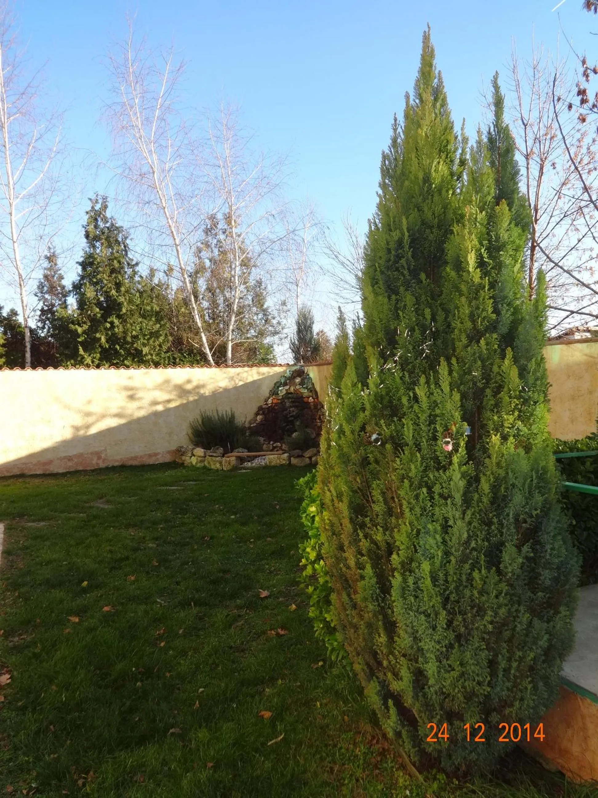 Garden in Hotel Veronika