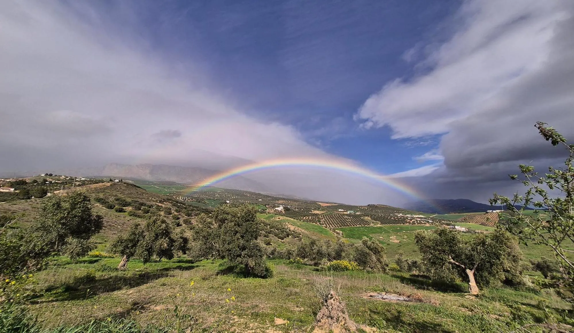 Spring in Finca Amorosa