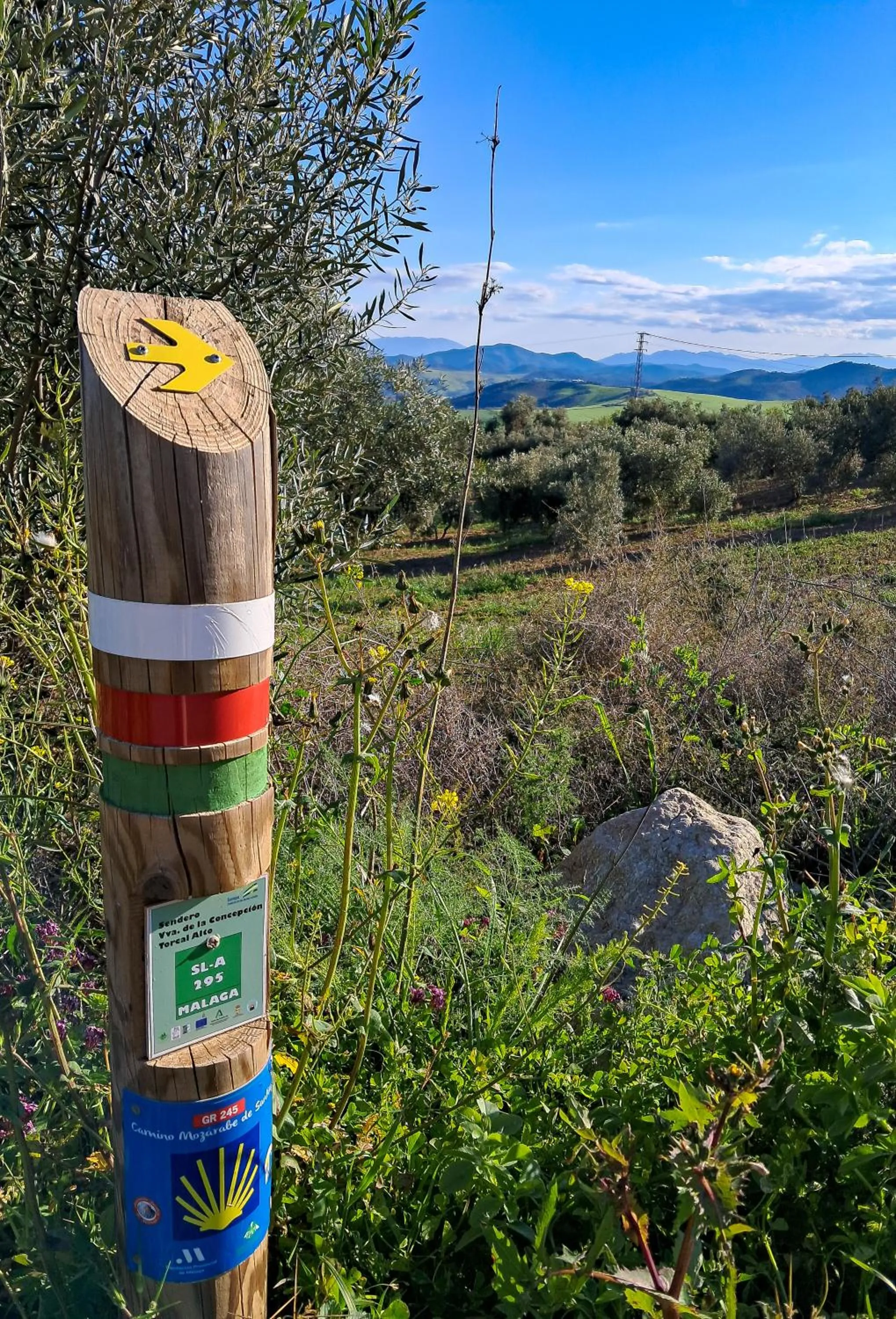 Spring in Finca Amorosa