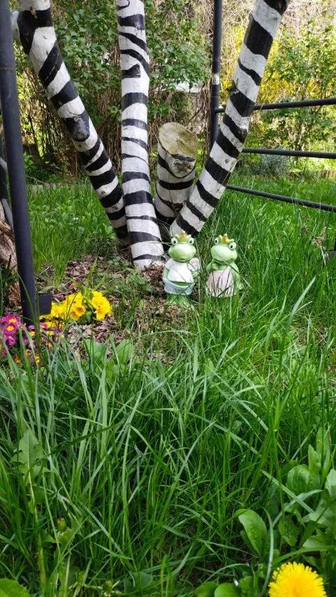 Patio in Willa Retro Hostel & Garden