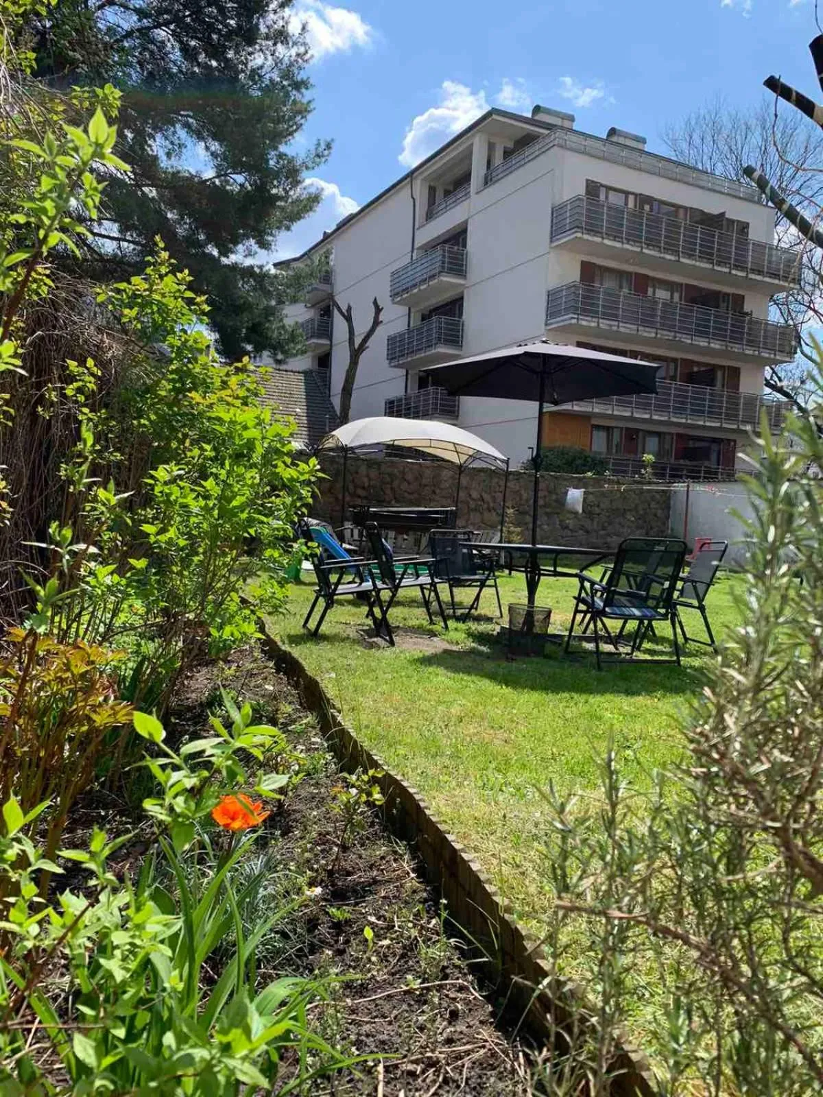 Patio in Willa Retro Hostel & Garden