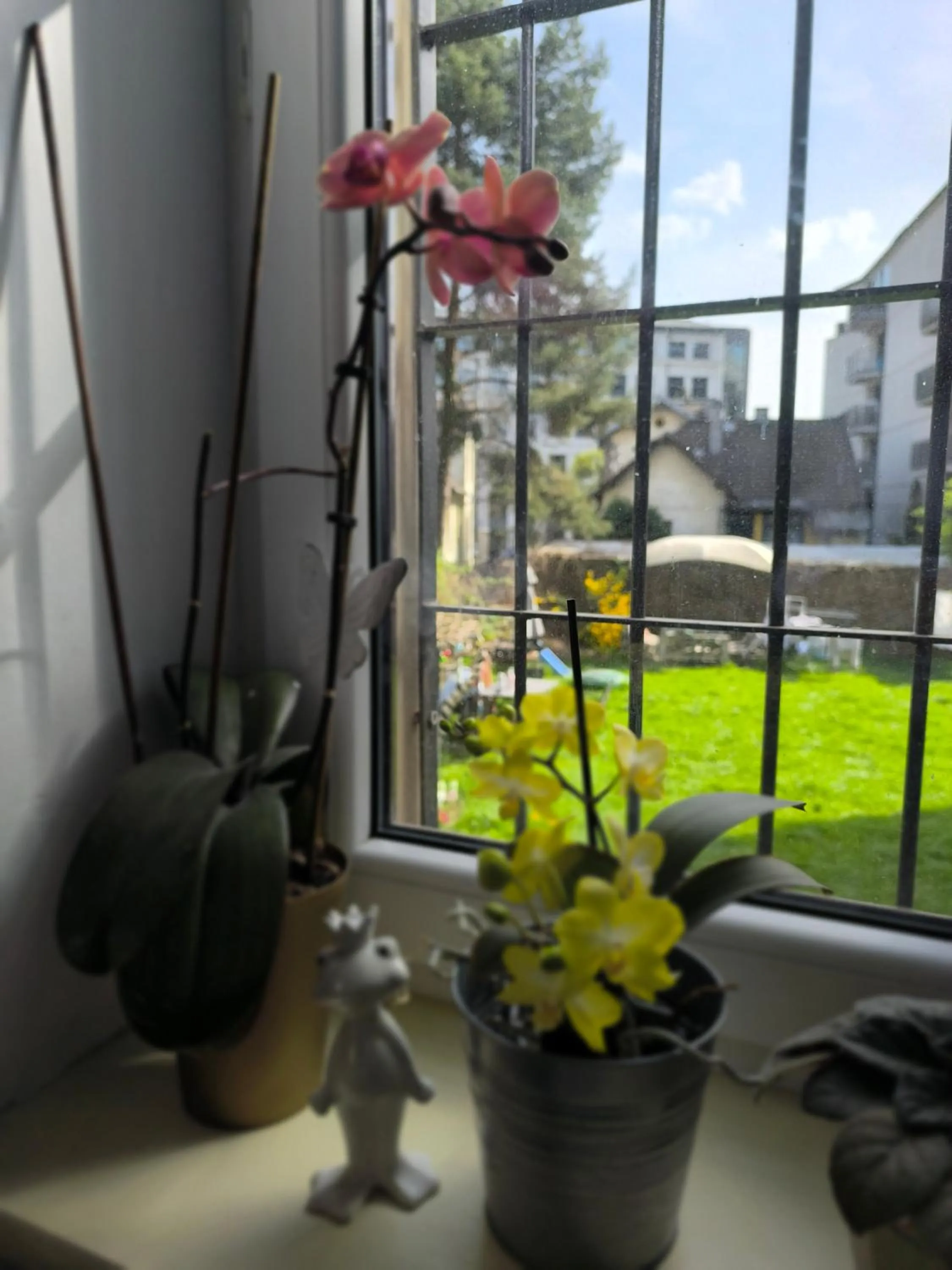 Spring in Willa Retro Hostel & Garden