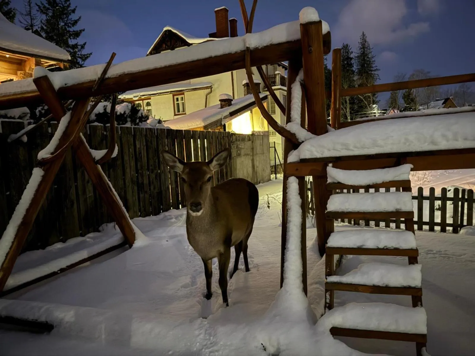 Willa u Kośle Zakopane sauna i bilard