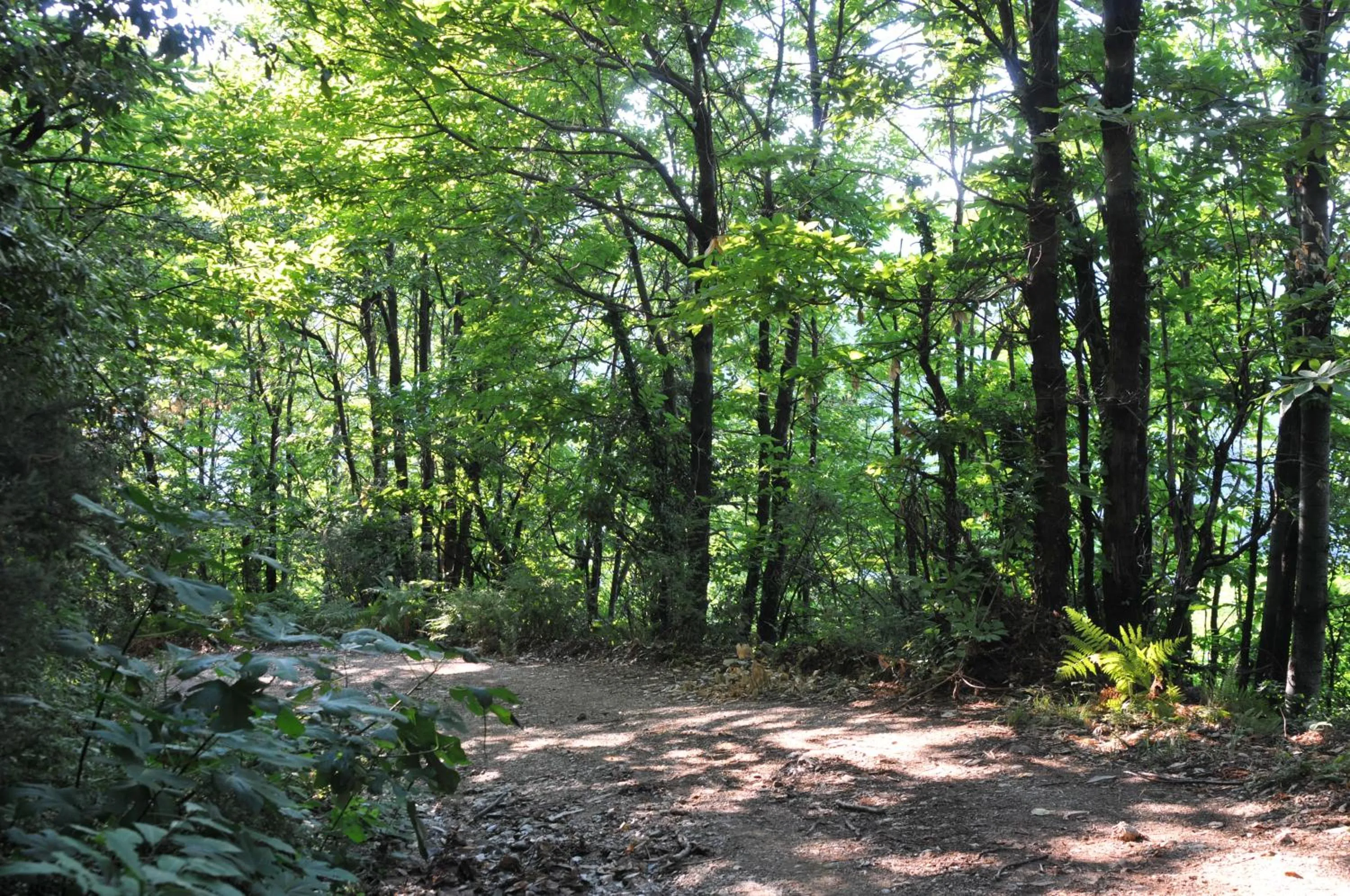 Other in Olga Hotel Mouresi