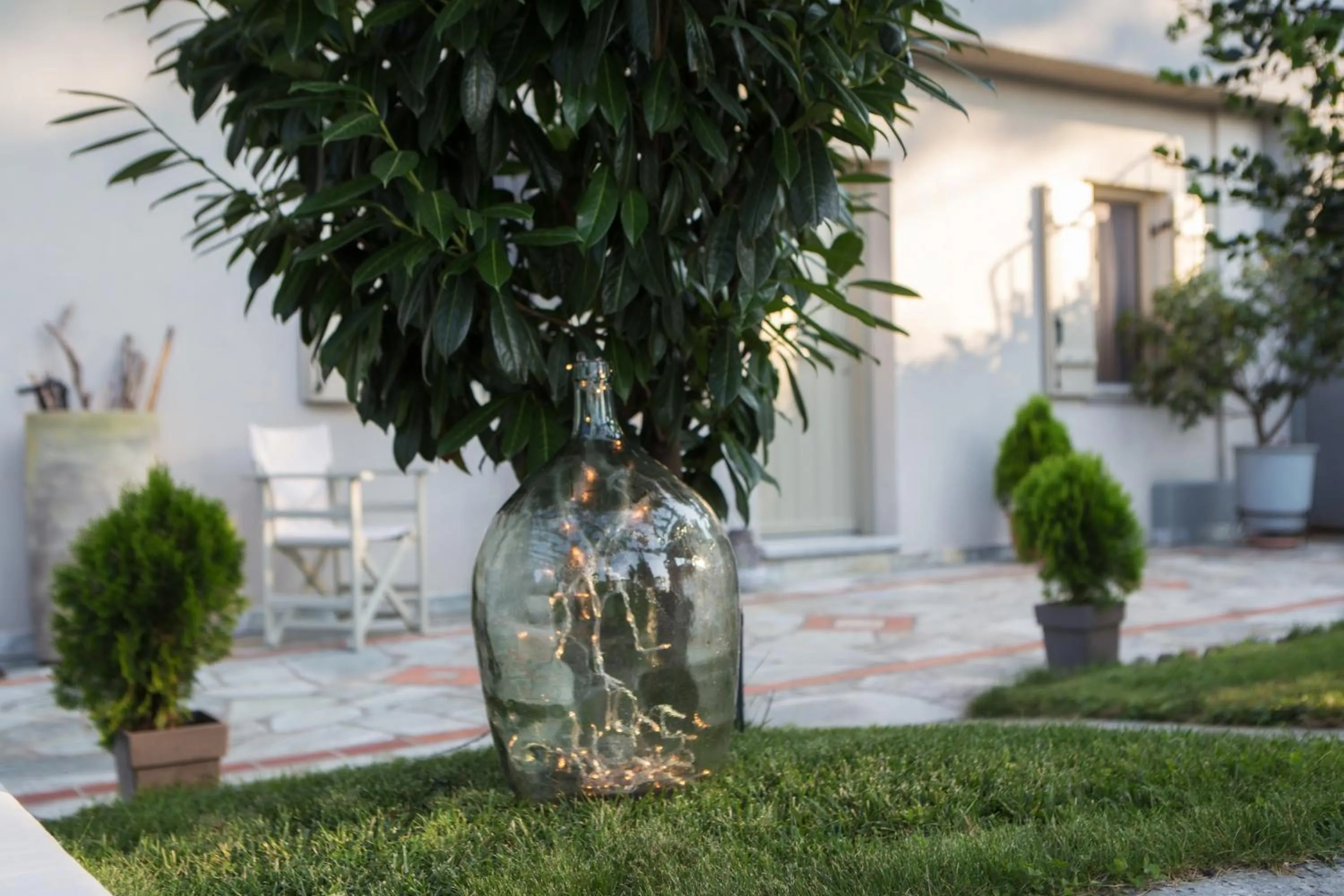 Garden in Olga Hotel Mouresi