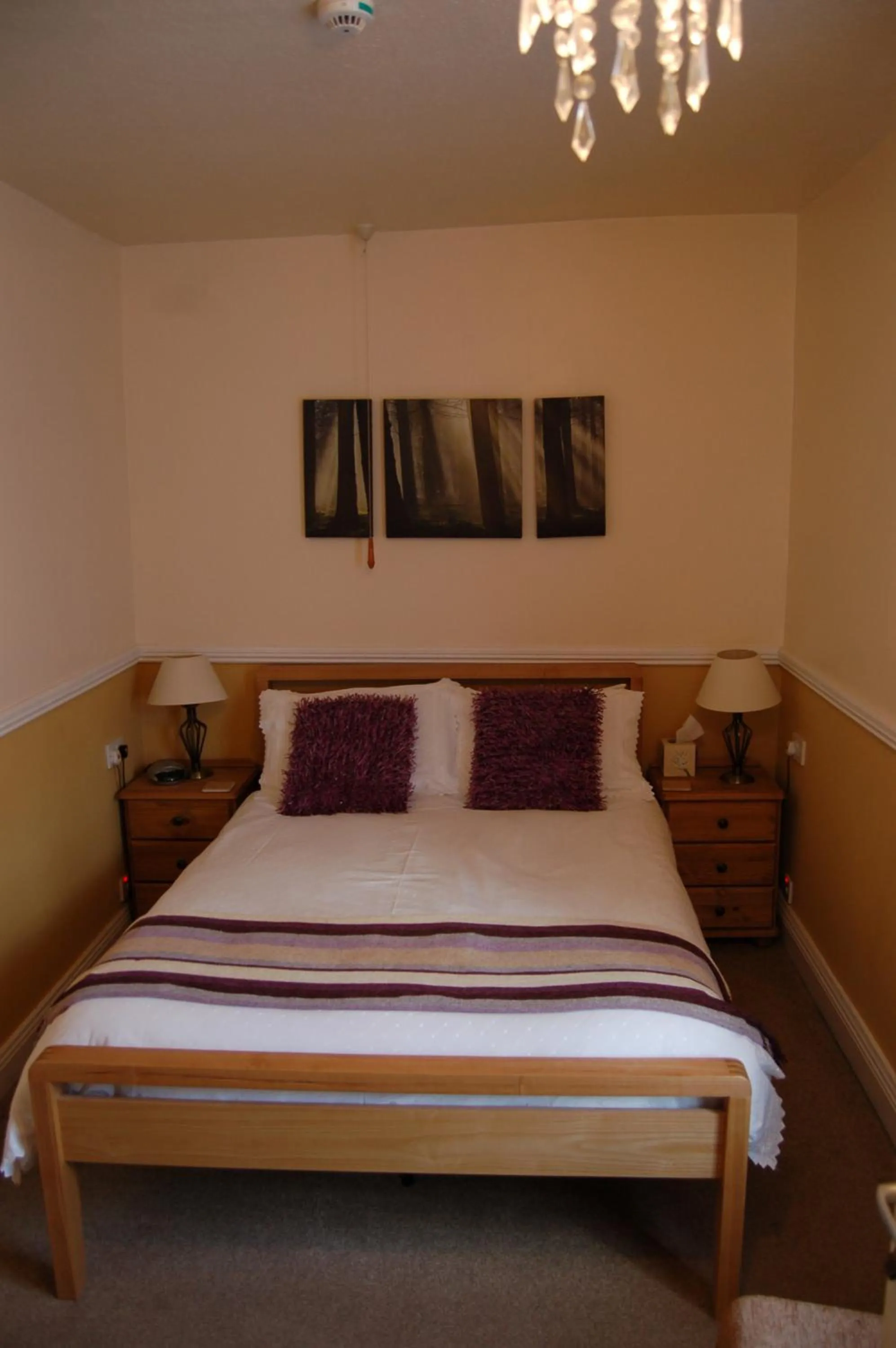 Photo of the whole room, Bed in Compton House