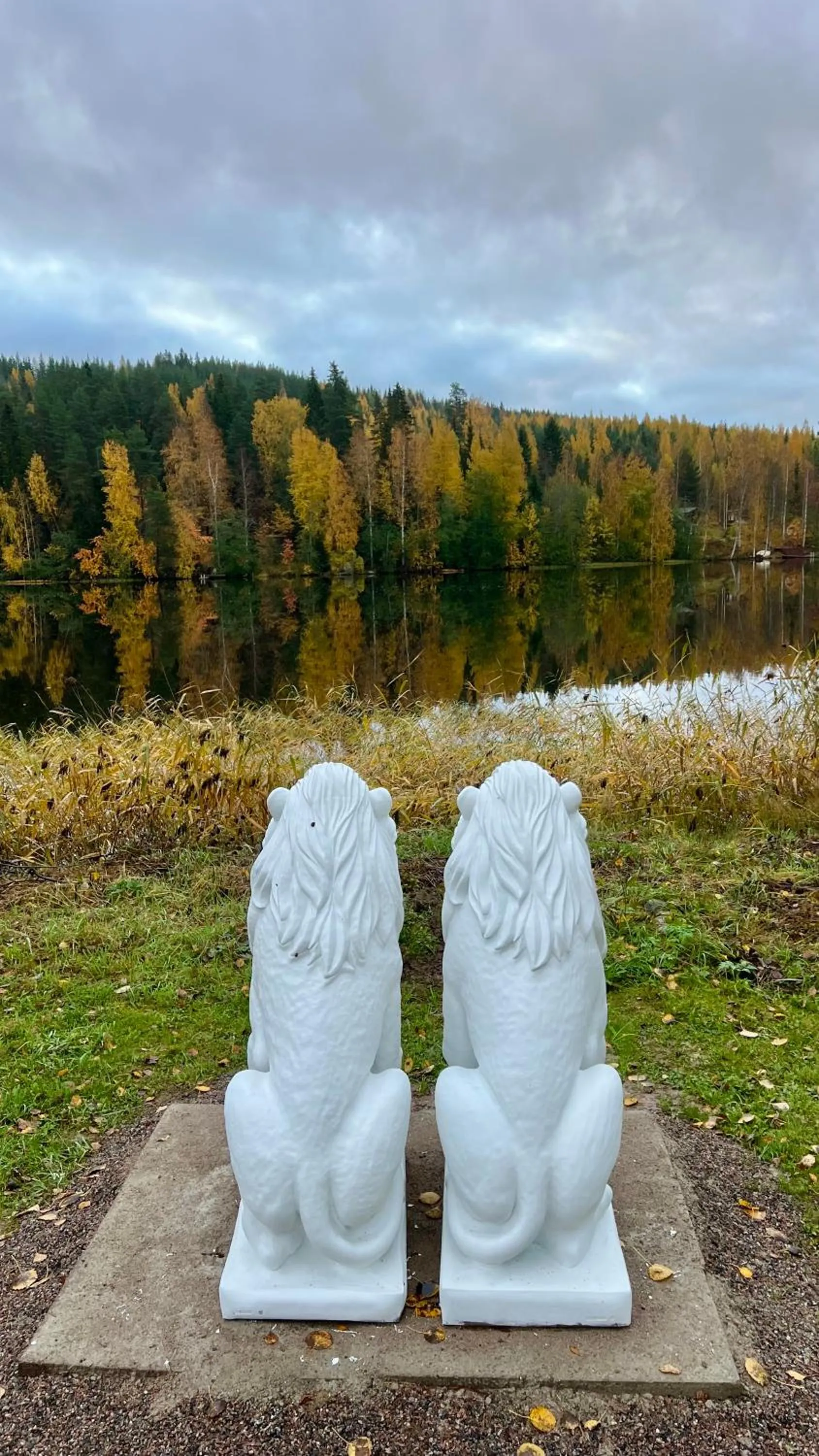 Property building in Vanha Koulu