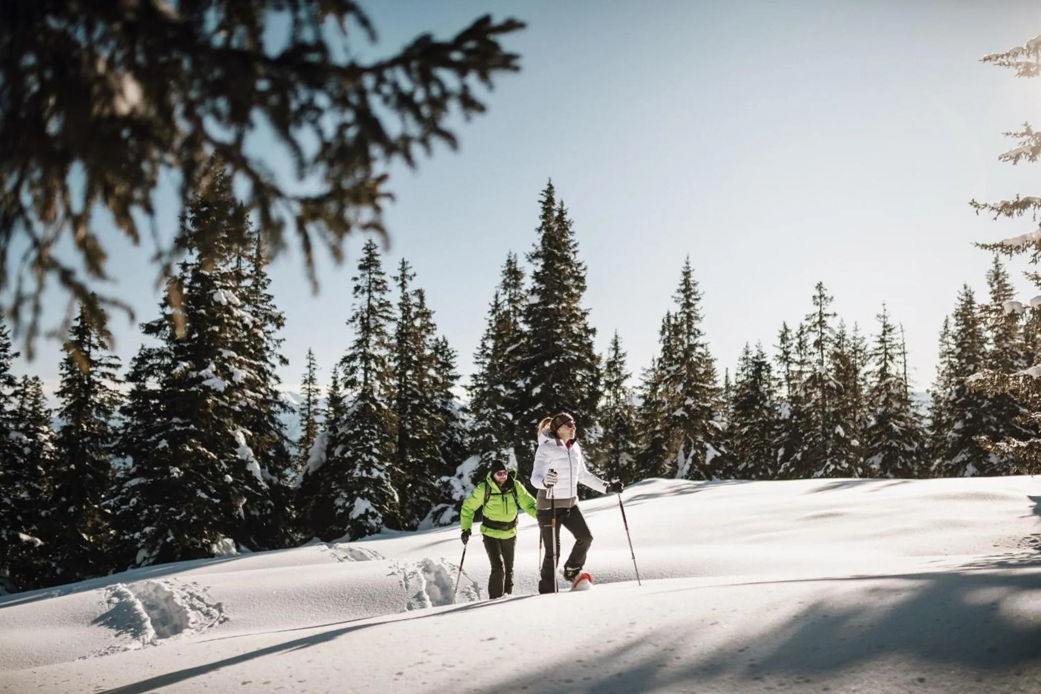 Natural landscape in Hotel Wieser