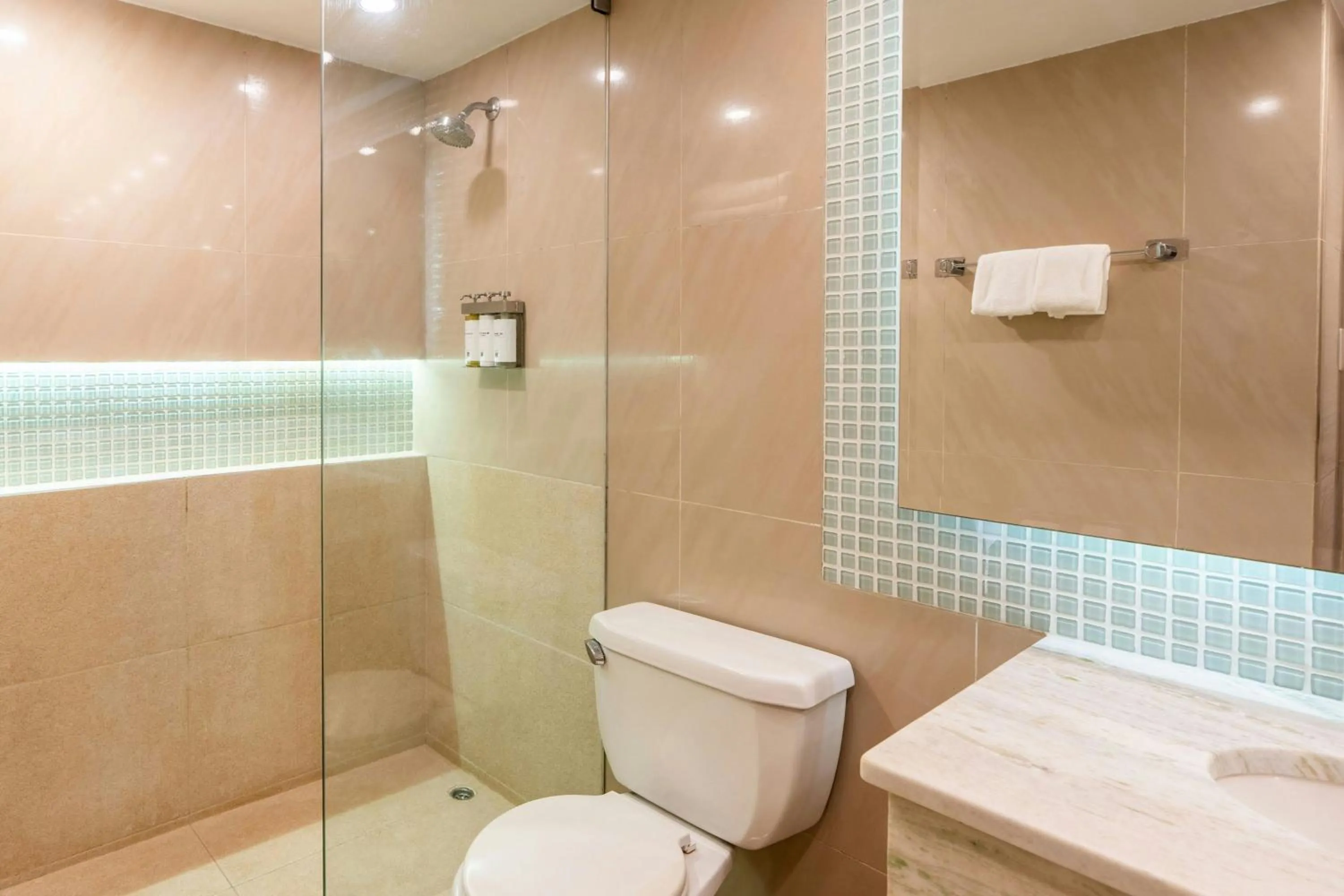 Bathroom in Los Tajibos, Santa Cruz de la Sierra, a Tribute Portfolio Hotel