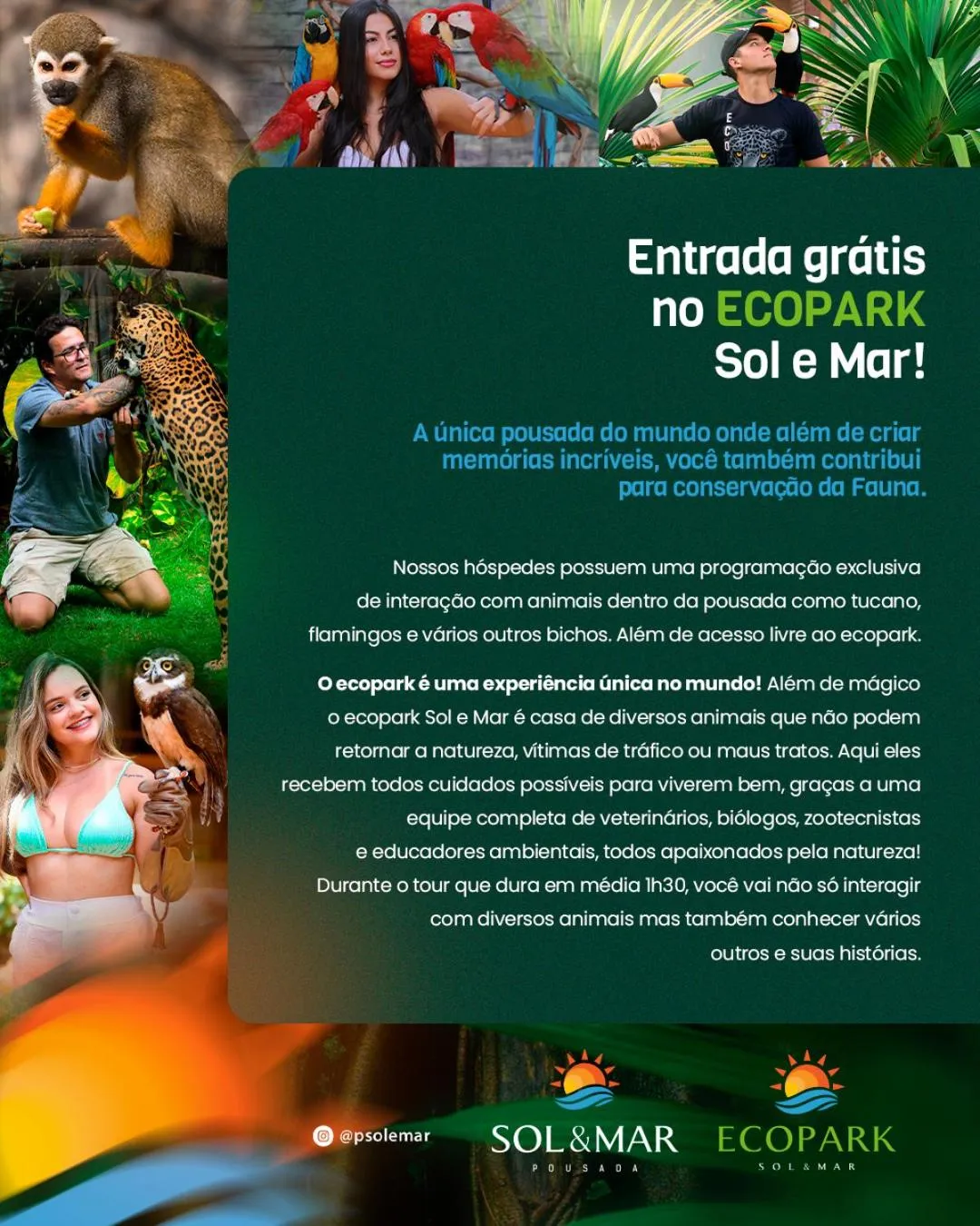 Animals in Pousada Sol e Mar