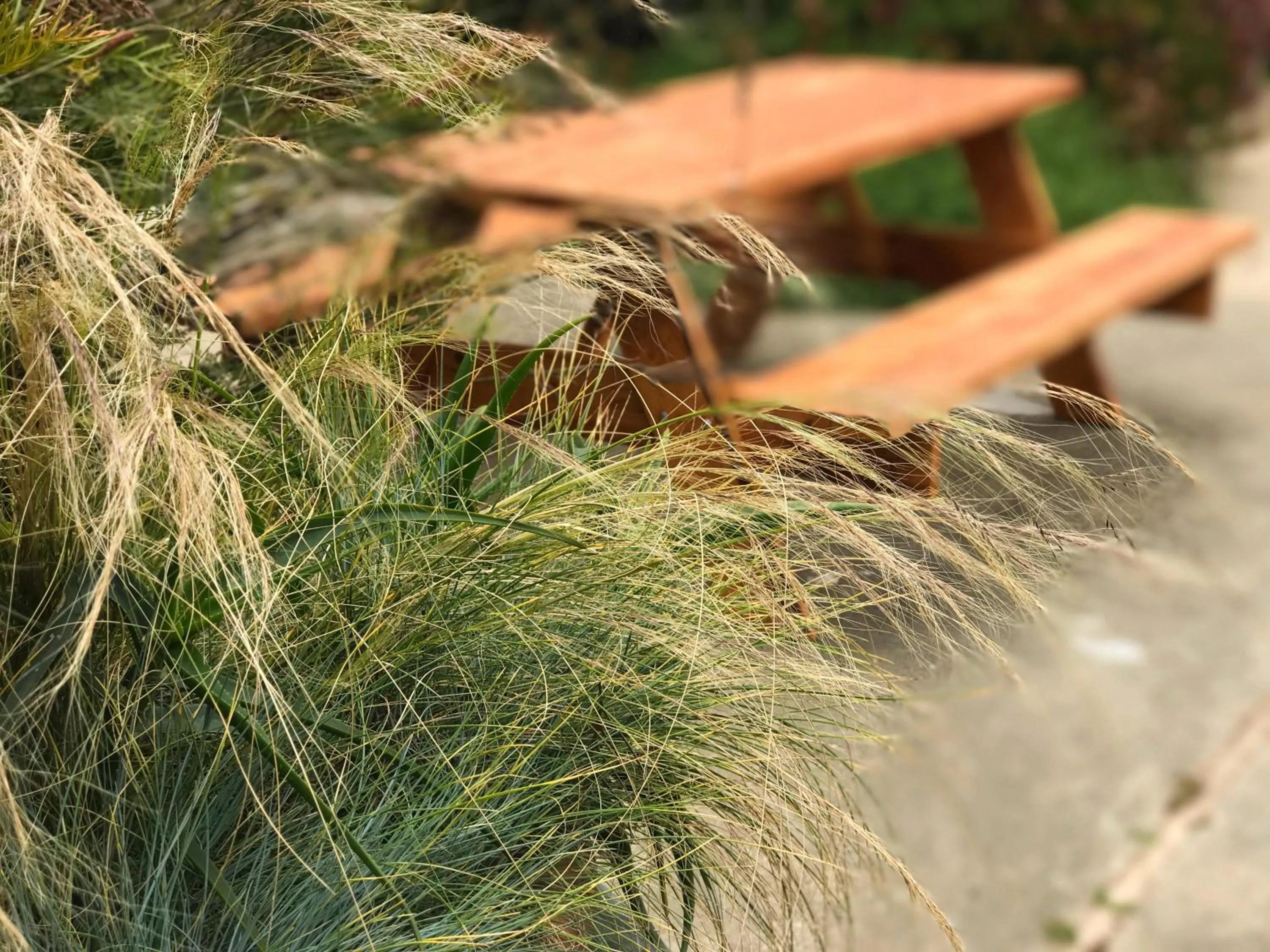 Food and drinks in Bodega Bay Inn