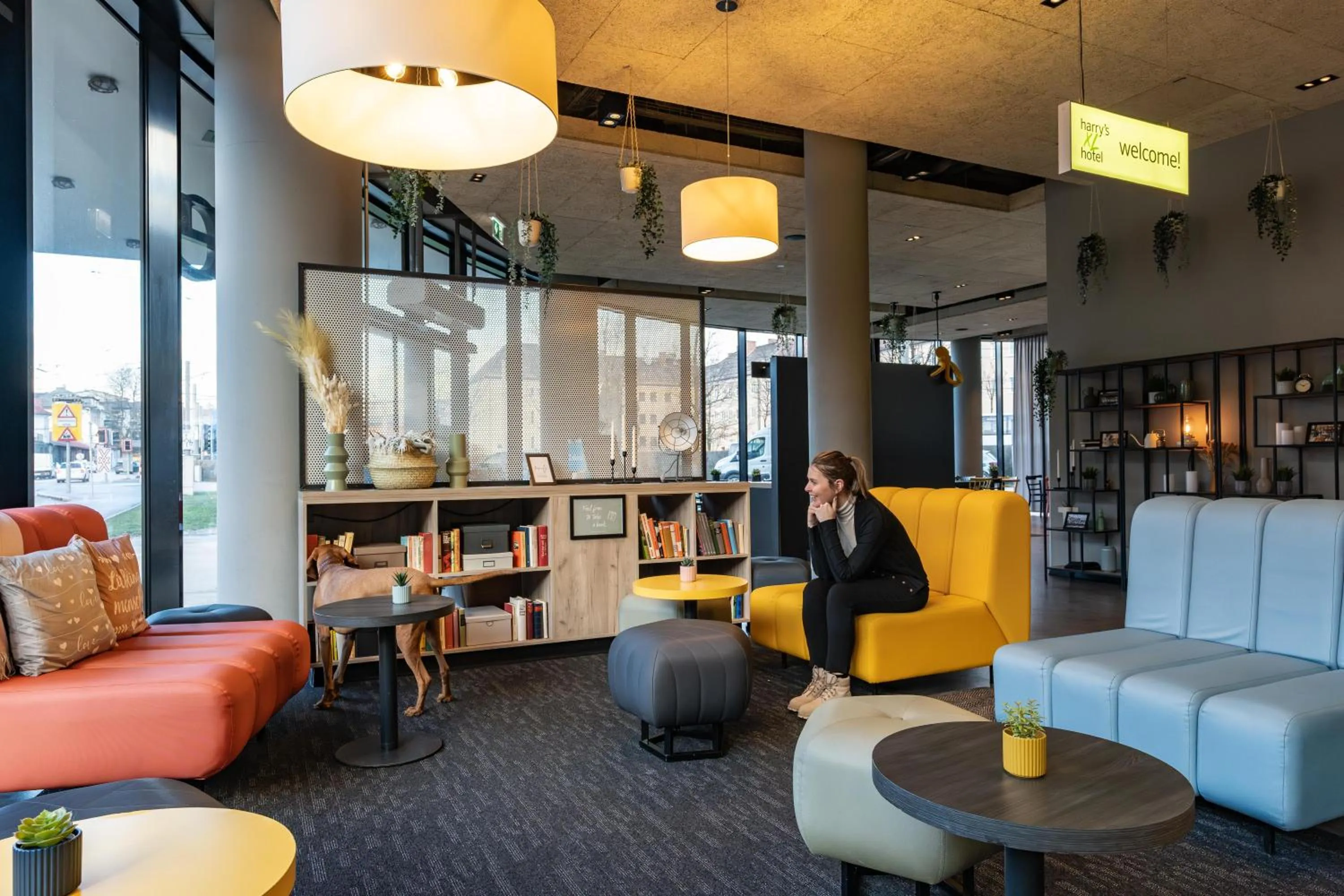 Lobby or reception in harry's home Salzburg