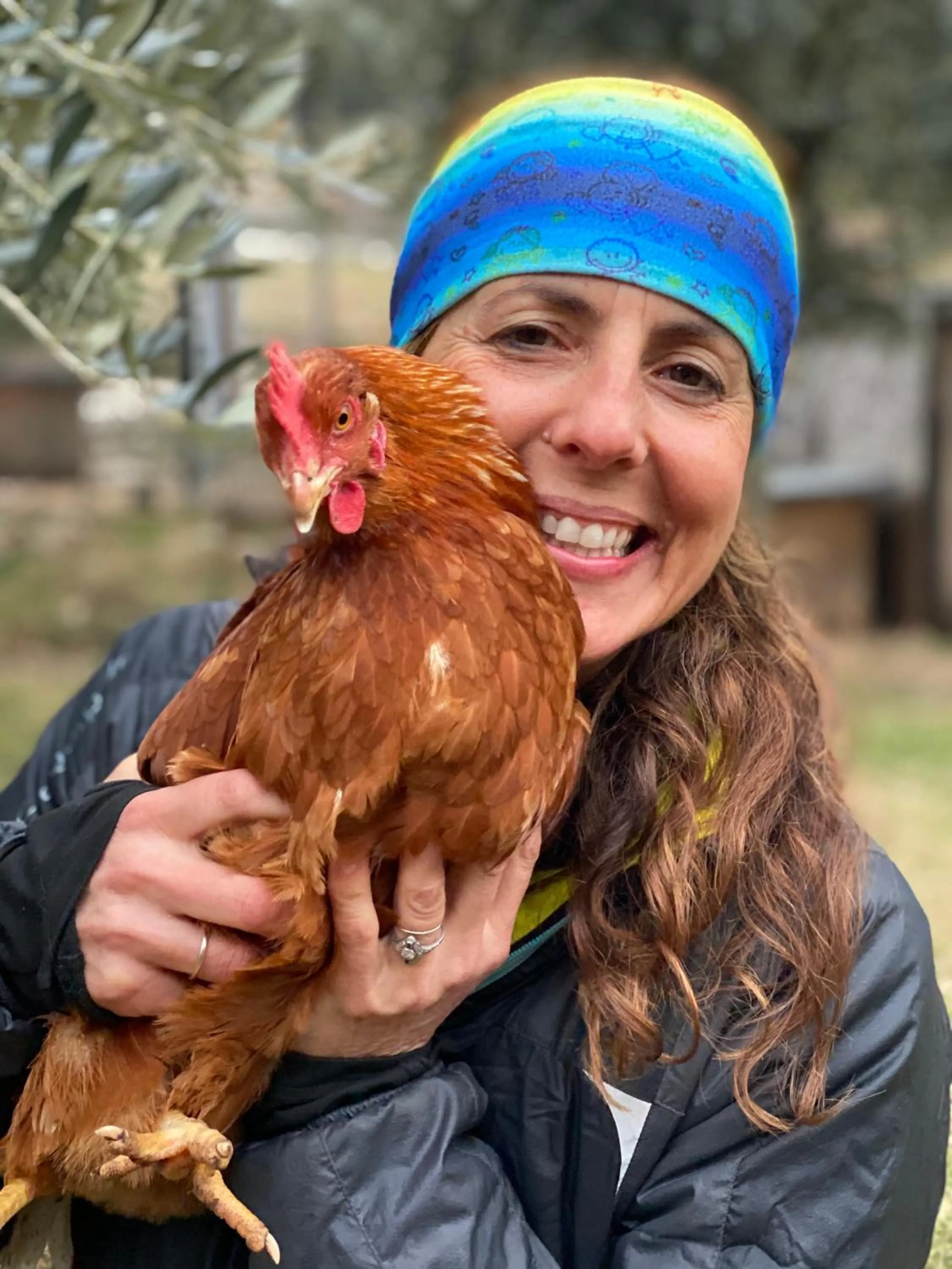 Animals in Da La Babi B&B