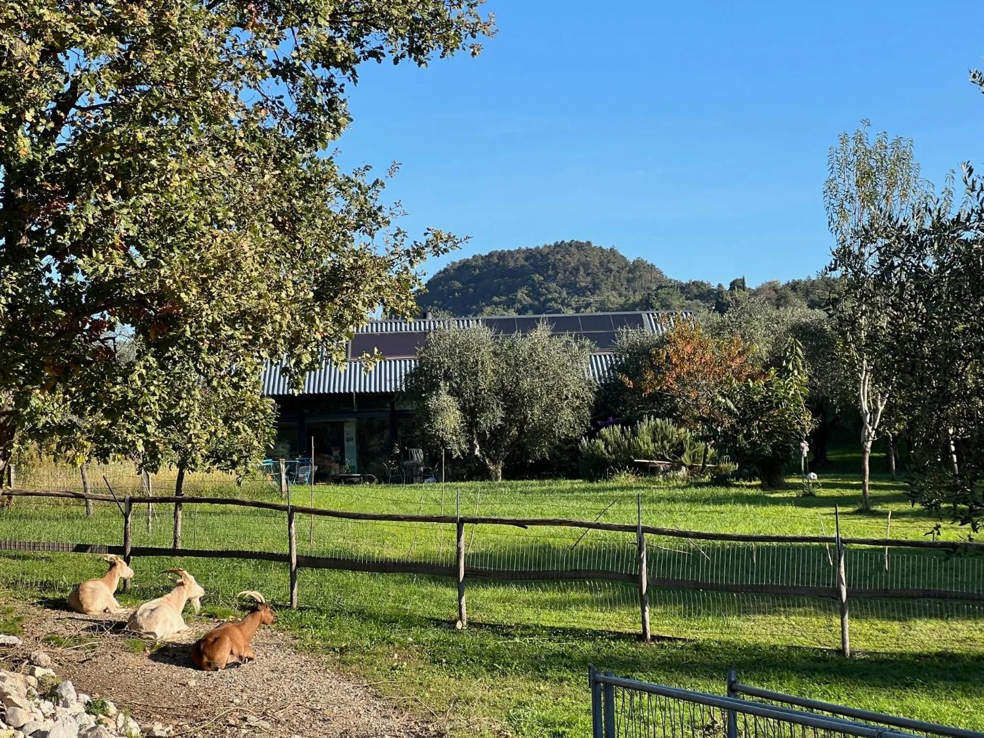Garden in Da La Babi B&B