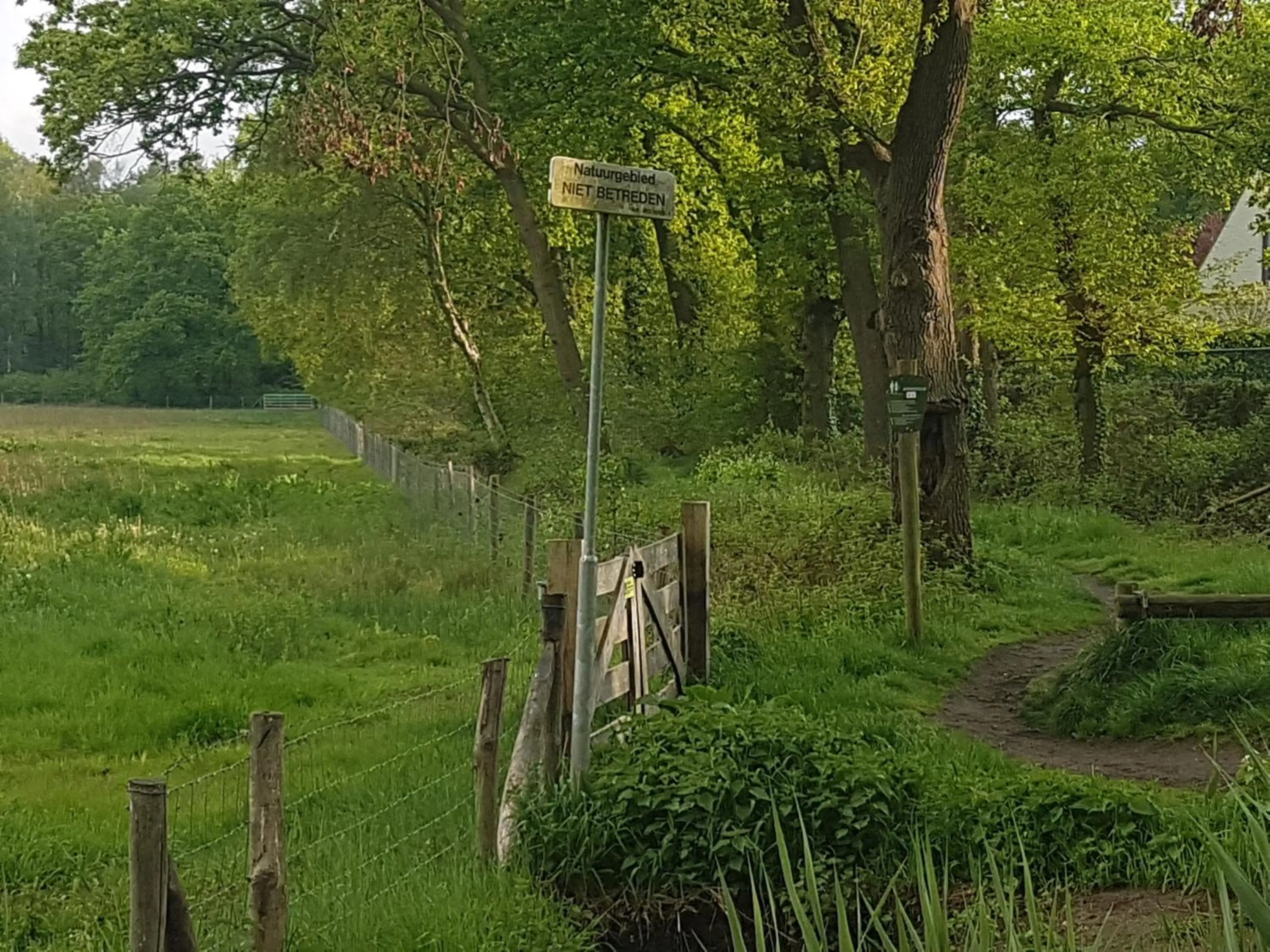 Natural landscape in De Heidestroper
