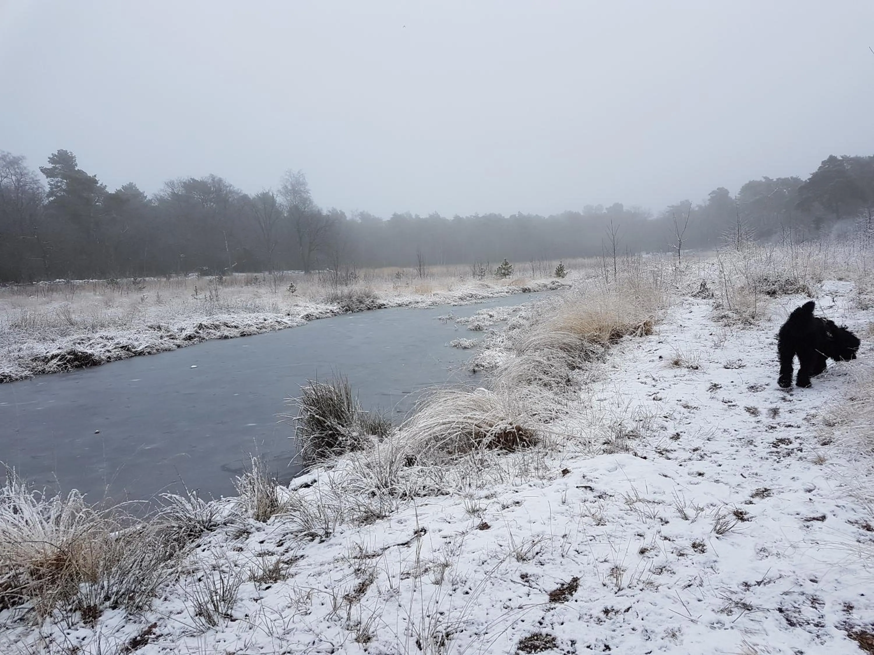 Natural landscape in De Heidestroper