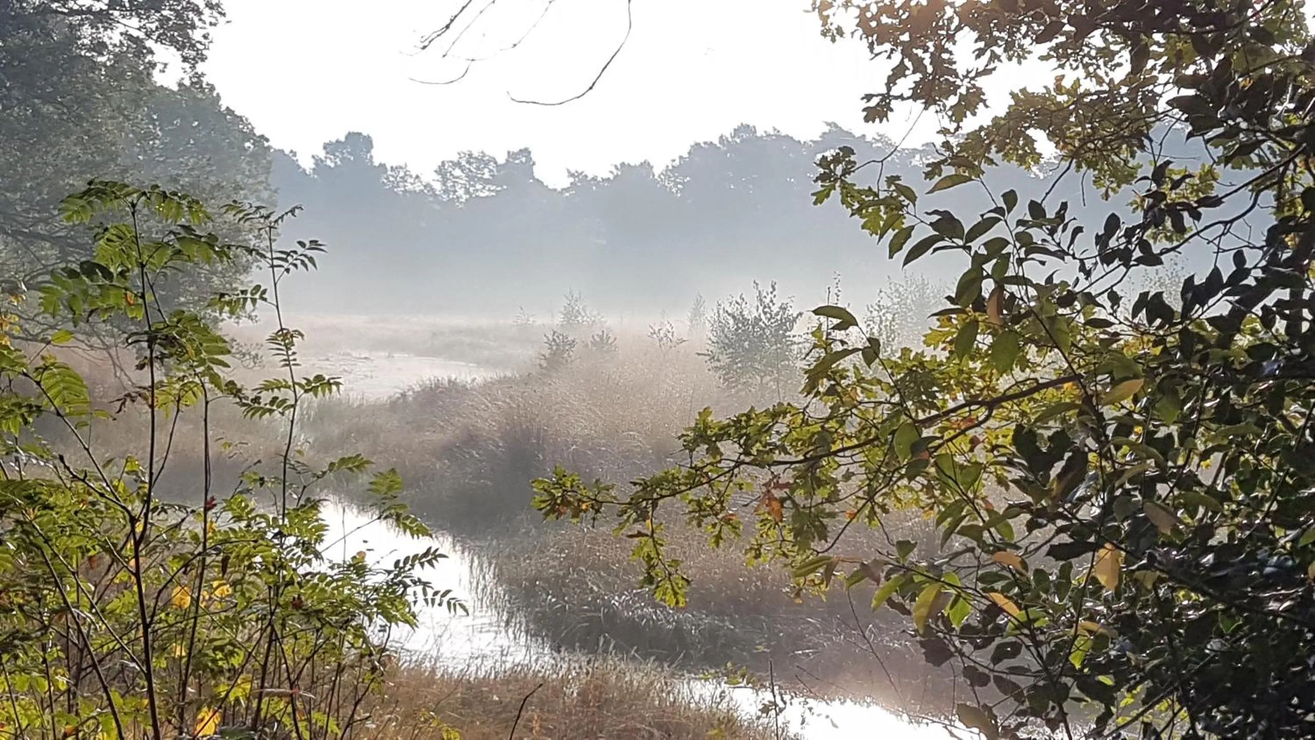 Activities in De Heidestroper