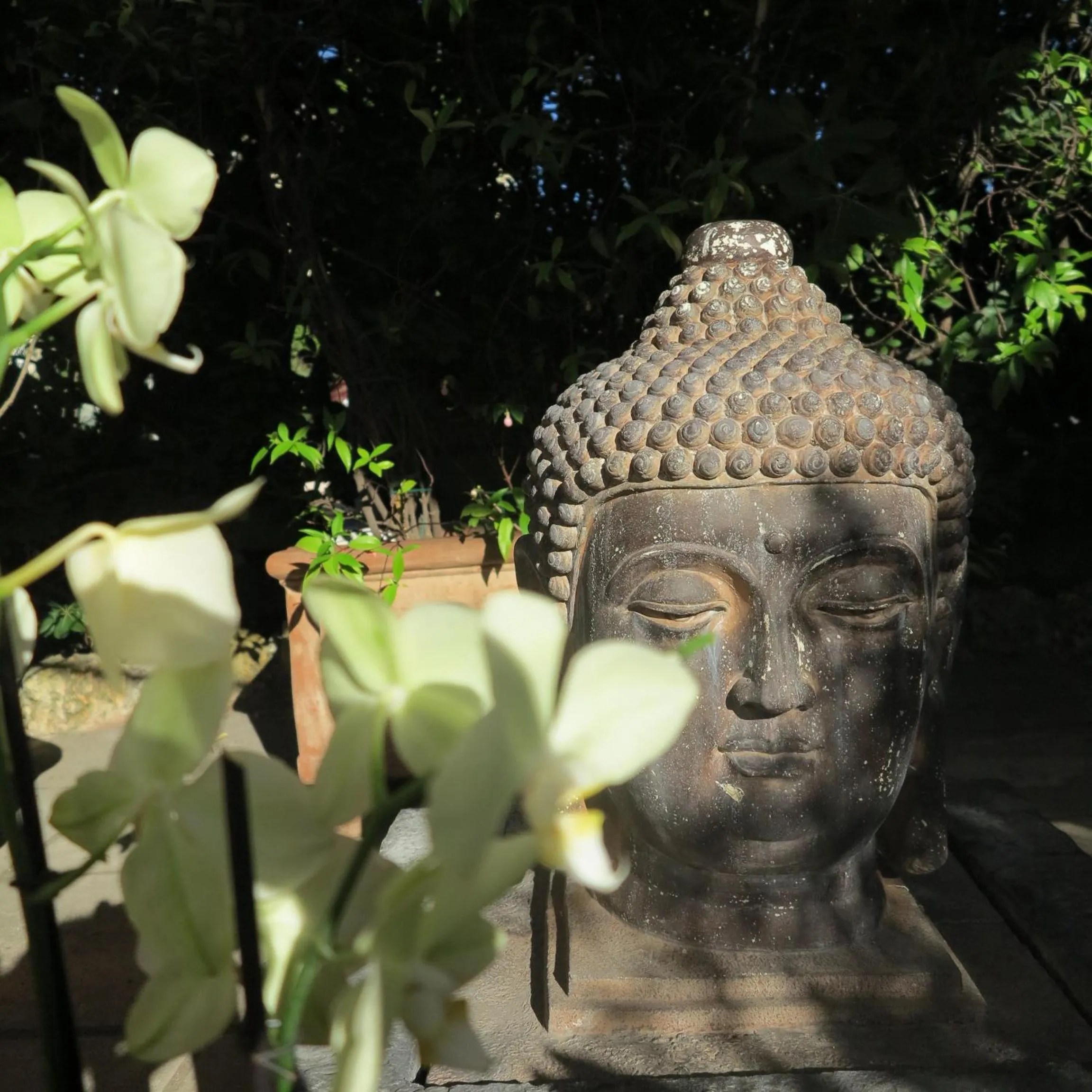 Garden in Hôtel La Villa Cannes