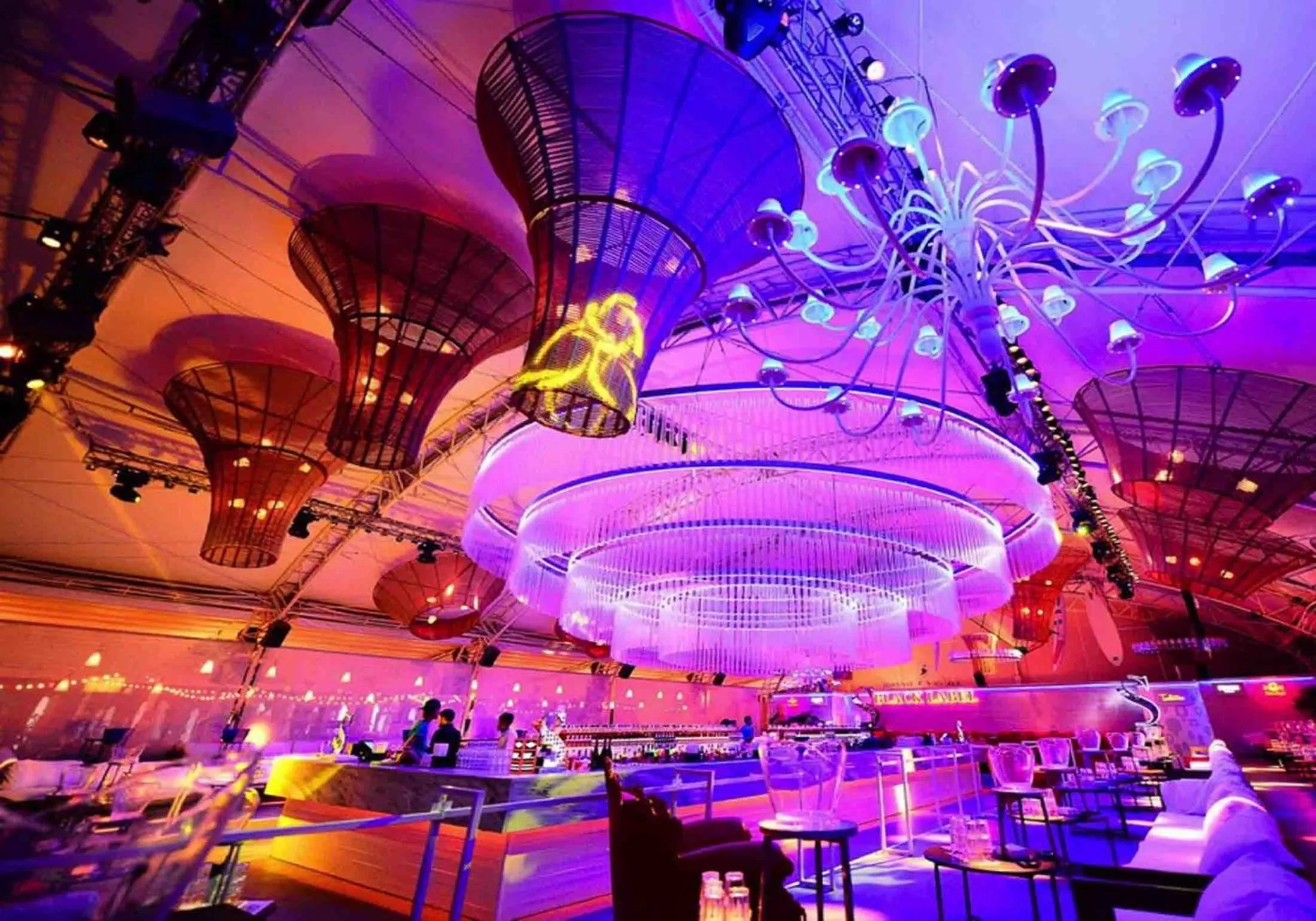 Nightclub / DJ in Summerland Mamaia