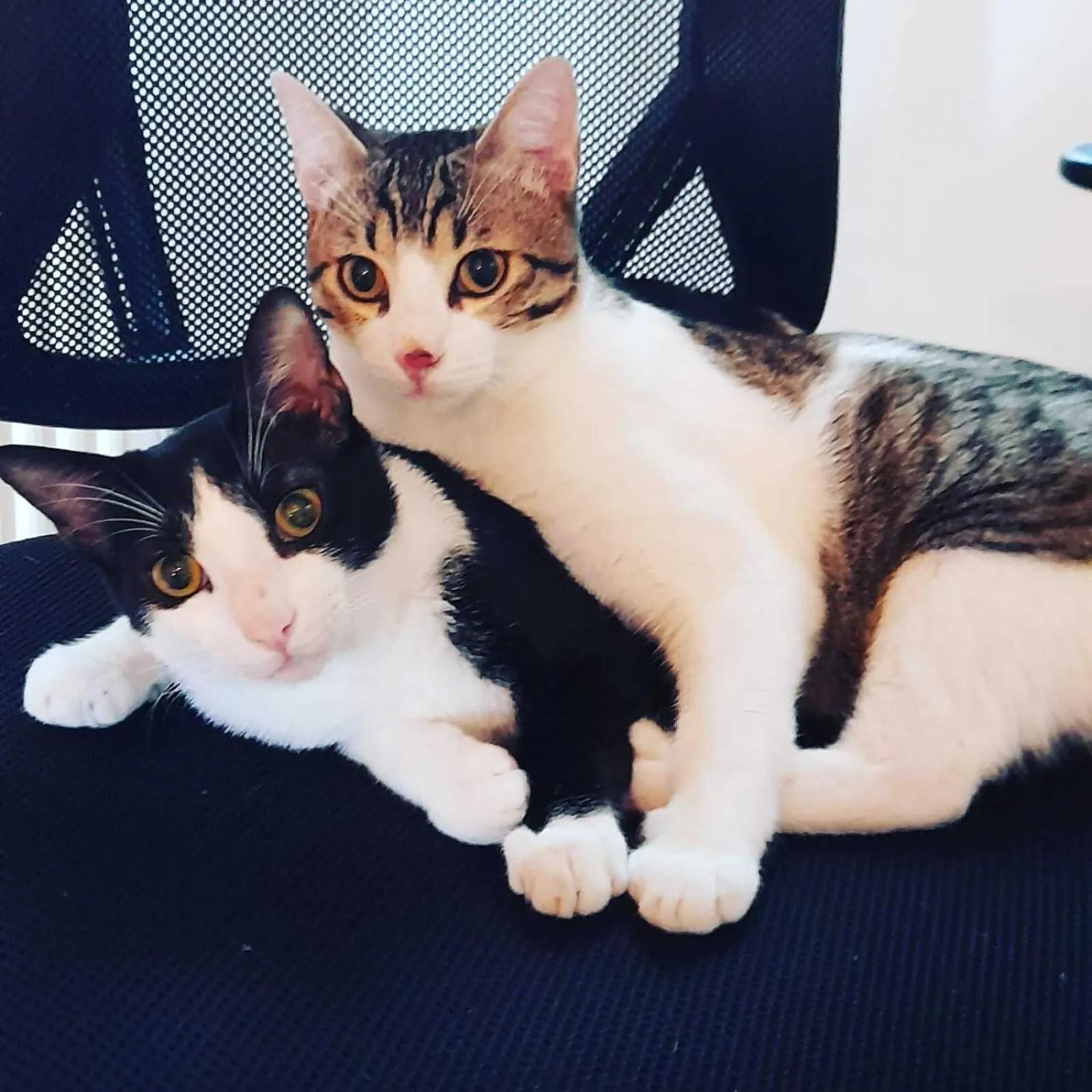 Other in Home Suite Home Bed & Breakfast