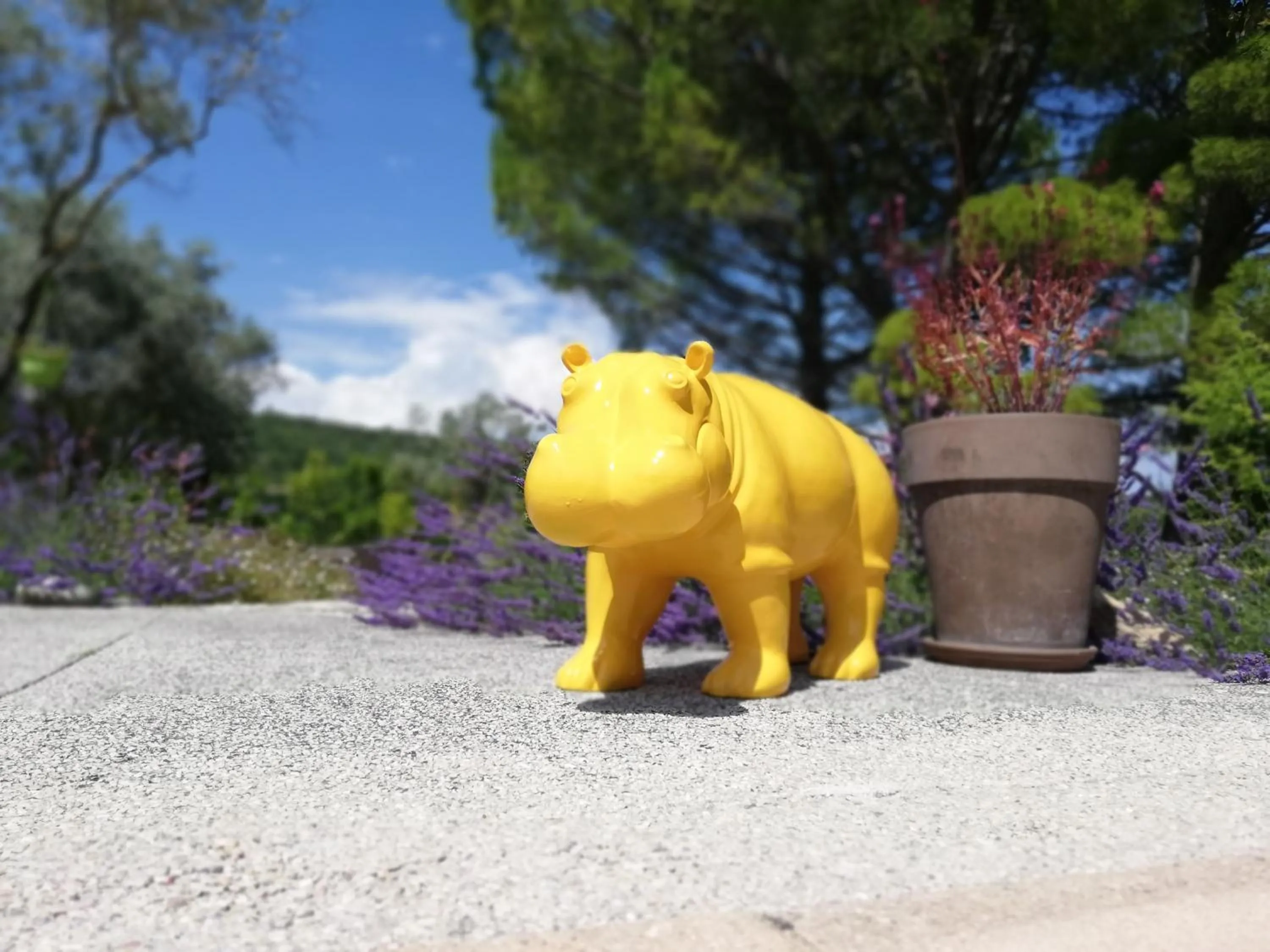 Decorative detail in Le mas de la diligence